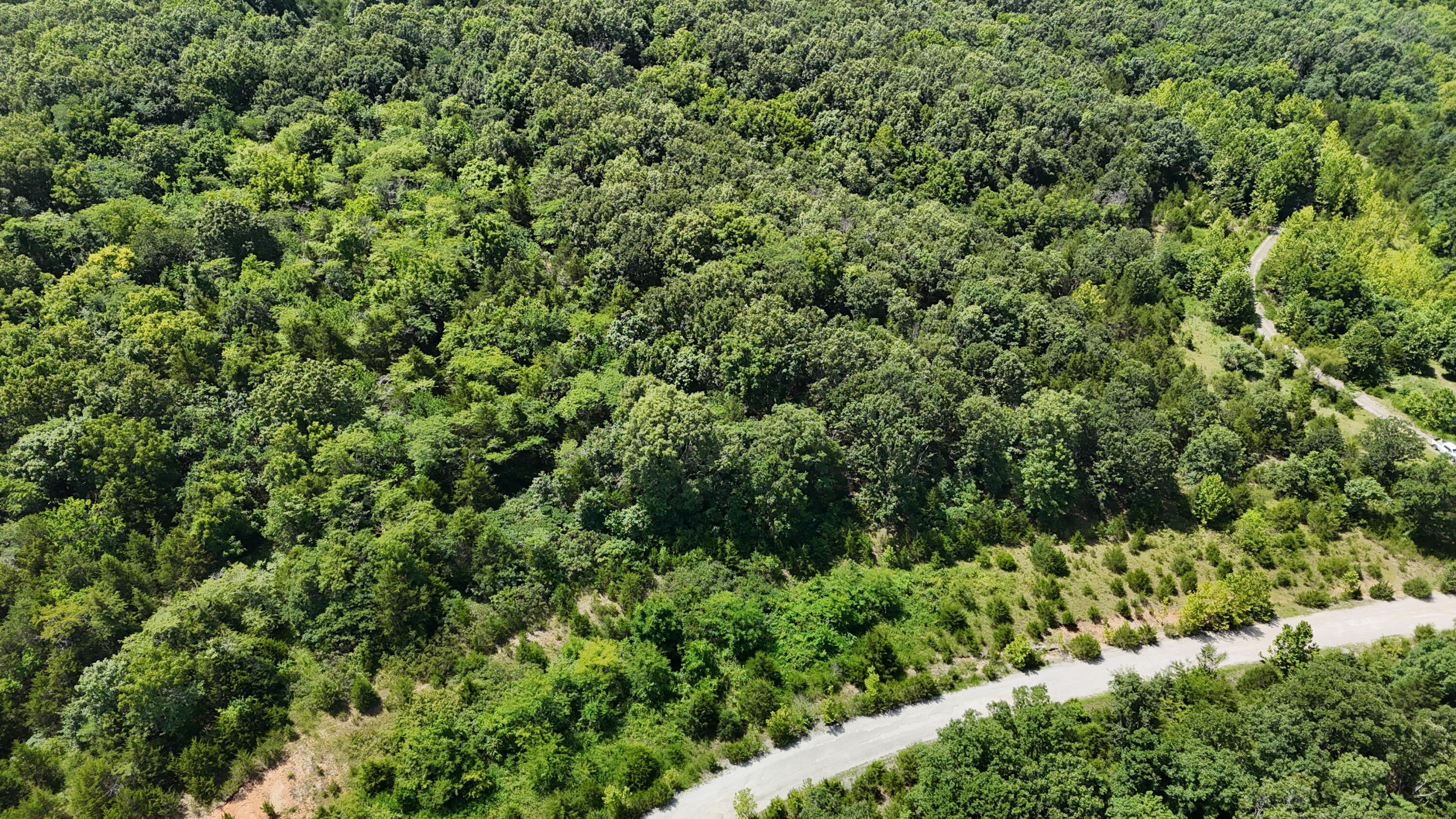 Photo 7 - Land for sale – 0  Mills Valley Boulevard  Marshfield, MO