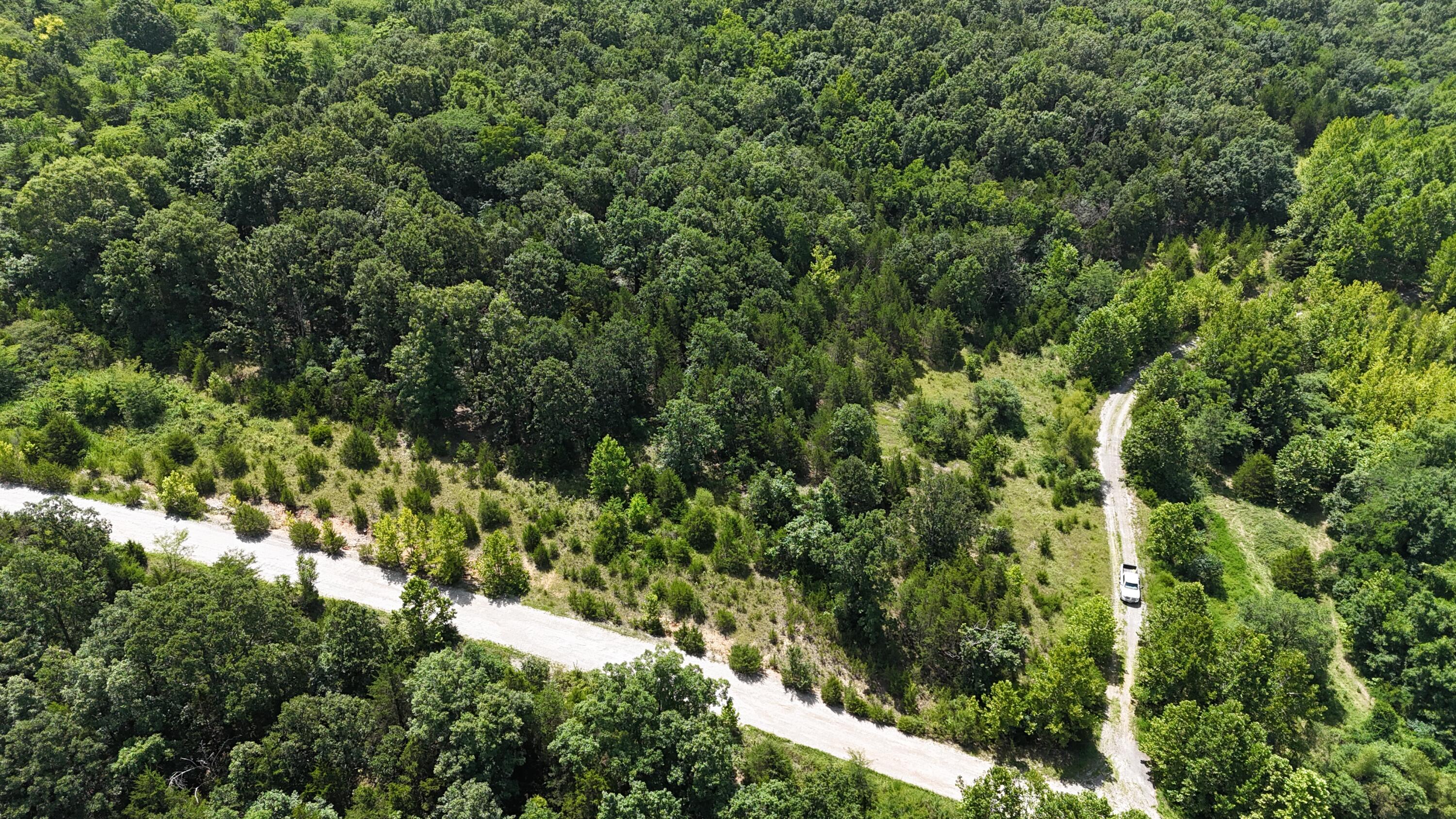 Photo 2 - Land for sale – 0  Mills Valley Boulevard  Marshfield, MO