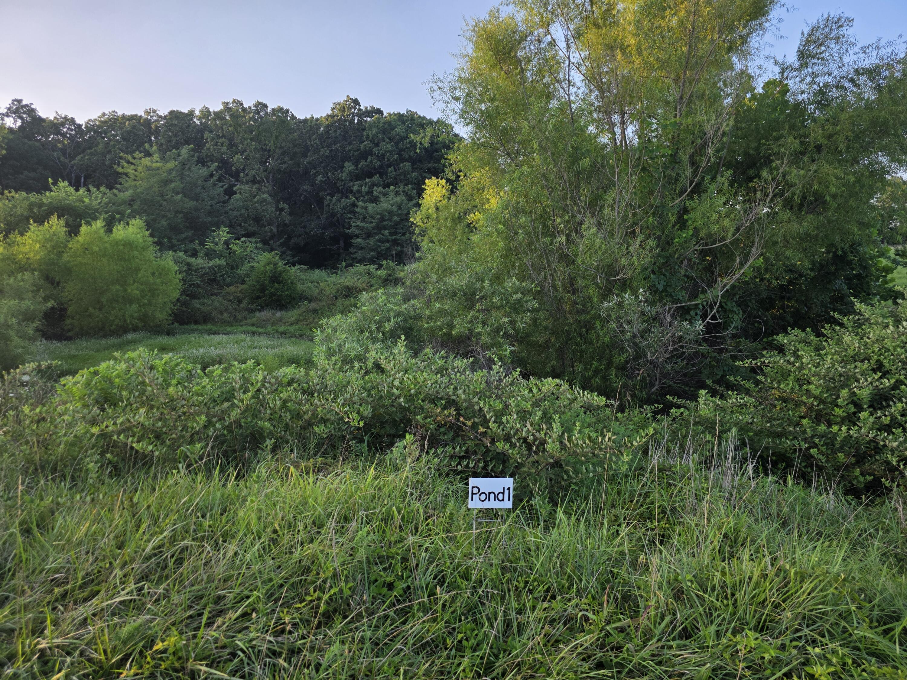 Photo 22 - Land for sale – Tract B  Freedom Road  Marshfield, MO