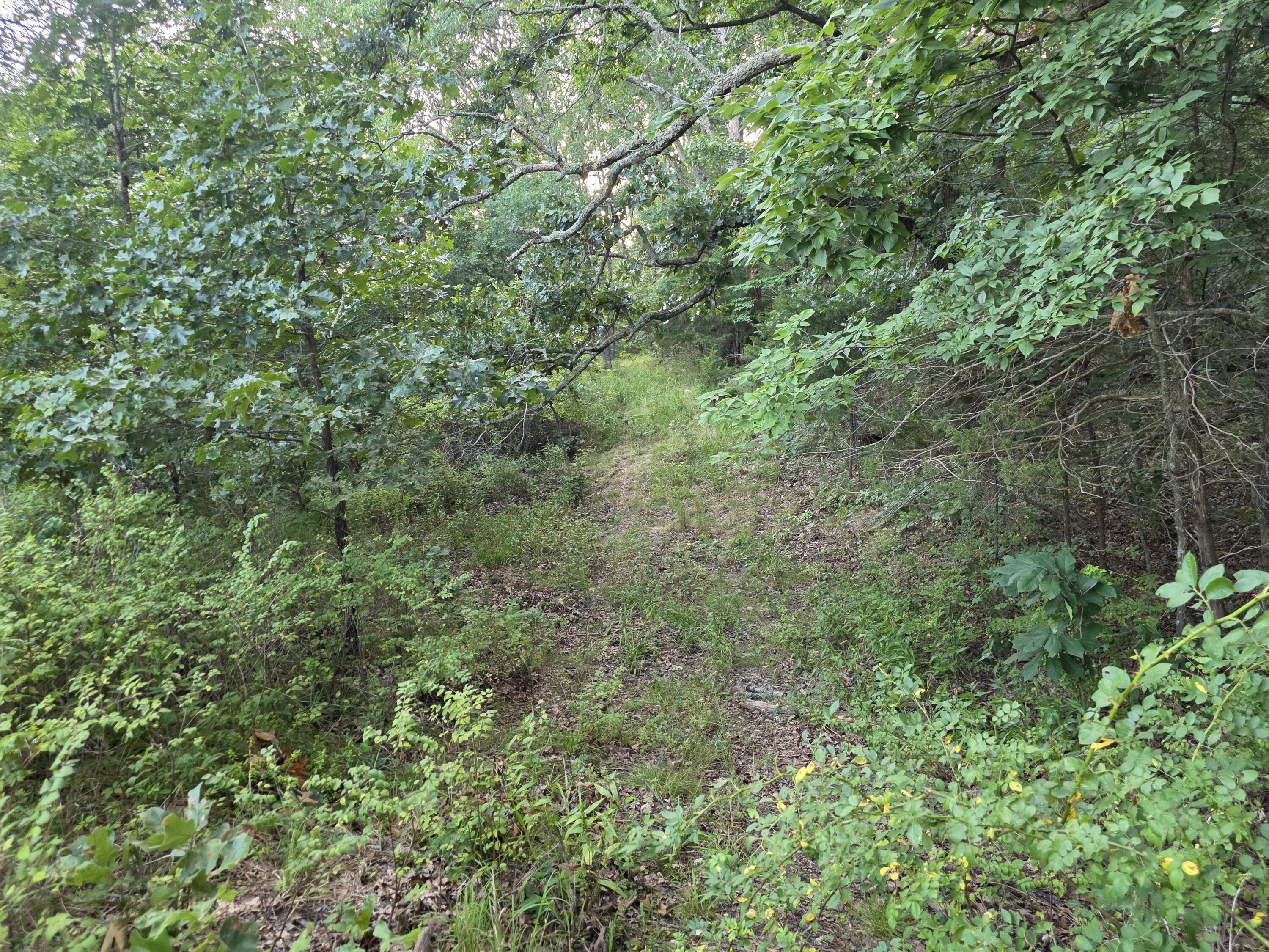 Photo 25 - Land for sale – Tract B  Freedom Road  Marshfield, MO