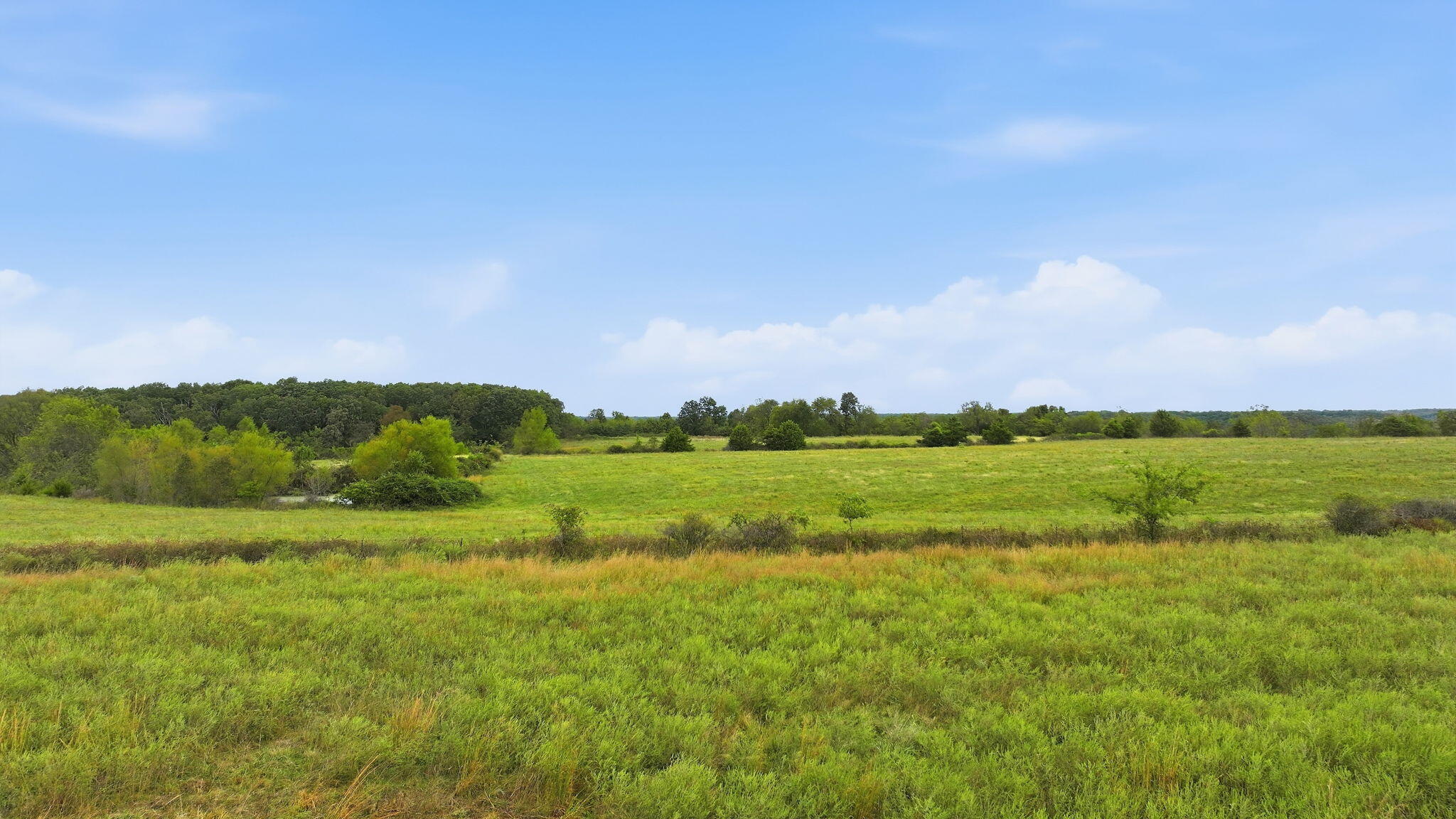 Photo 4 - Land for sale – Tract B  Freedom Road  Marshfield, MO