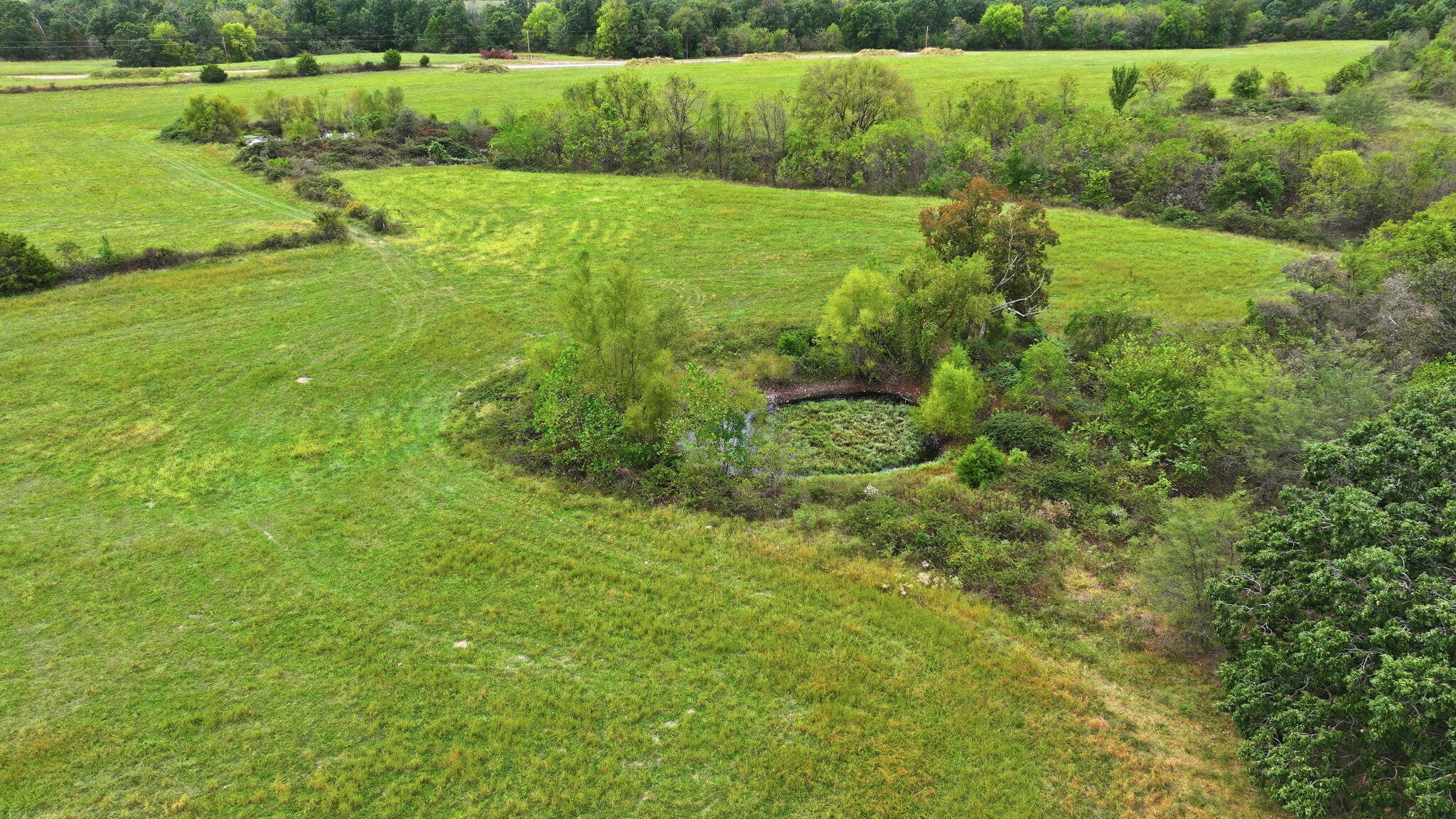 Photo 9 - Land for sale – Tract B  Freedom Road  Marshfield, MO