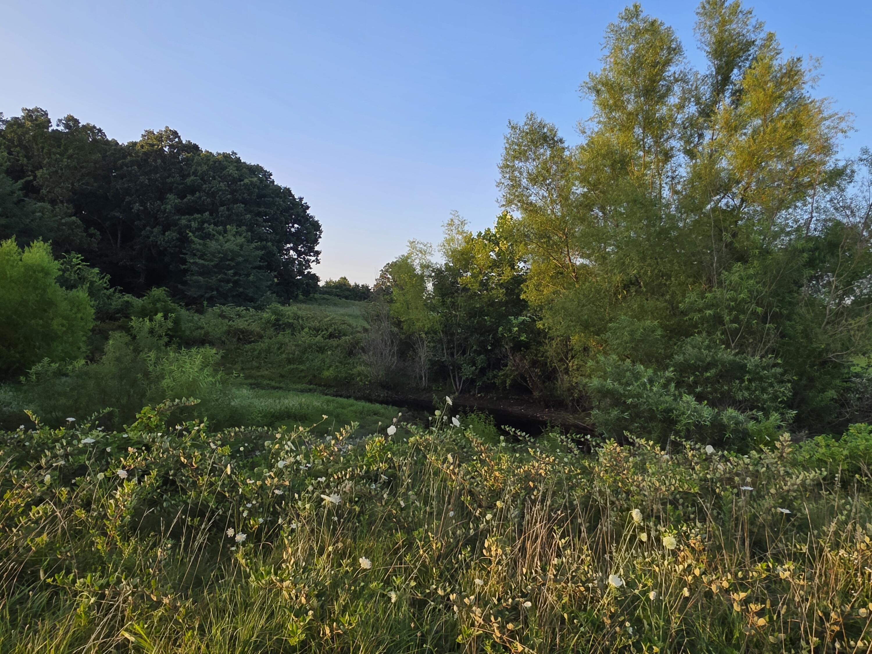 Photo 23 - Land for sale – Tract B  Freedom Road  Marshfield, MO