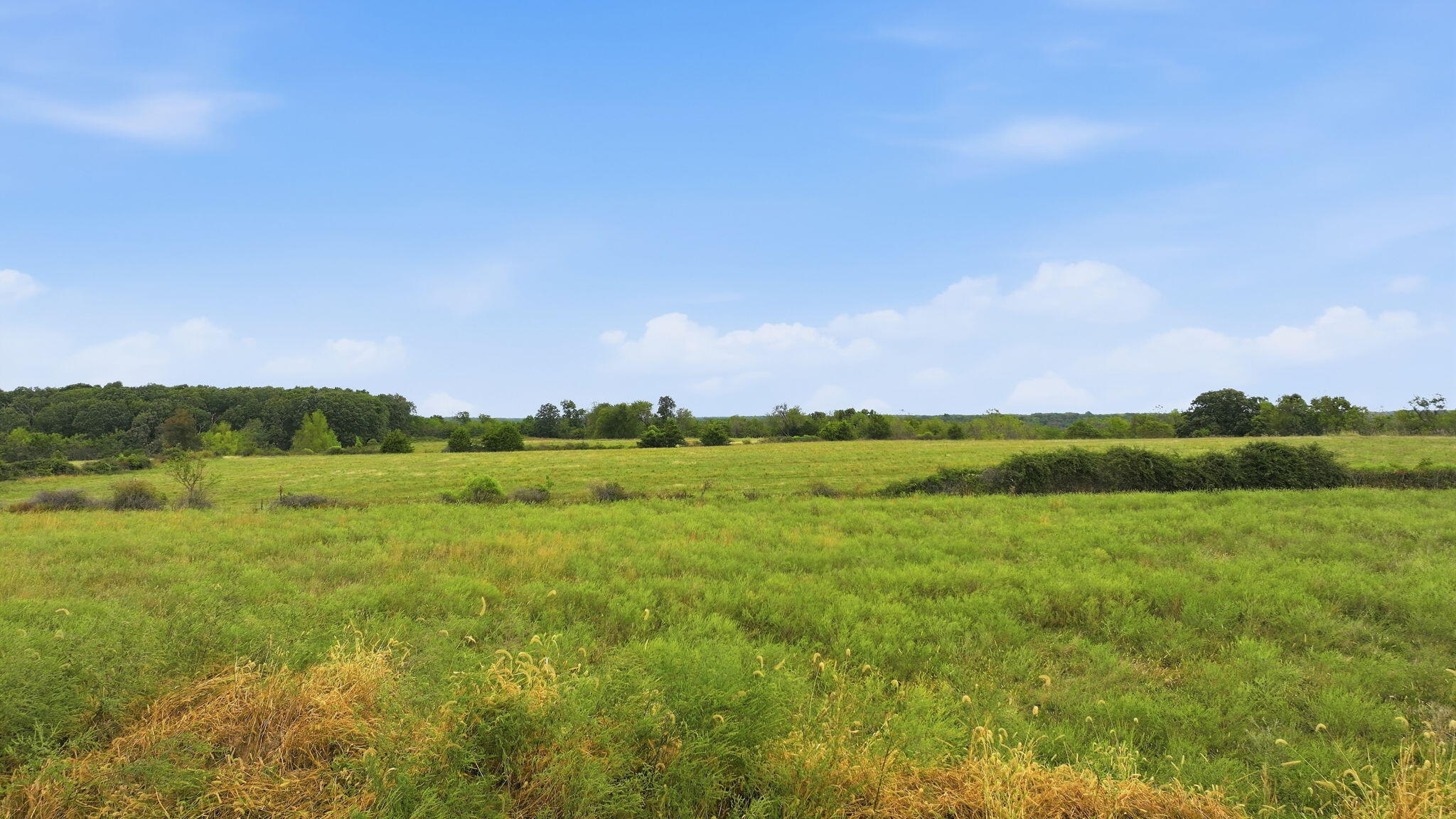 Photo 6 - Land for sale – Tract B  Freedom Road  Marshfield, MO
