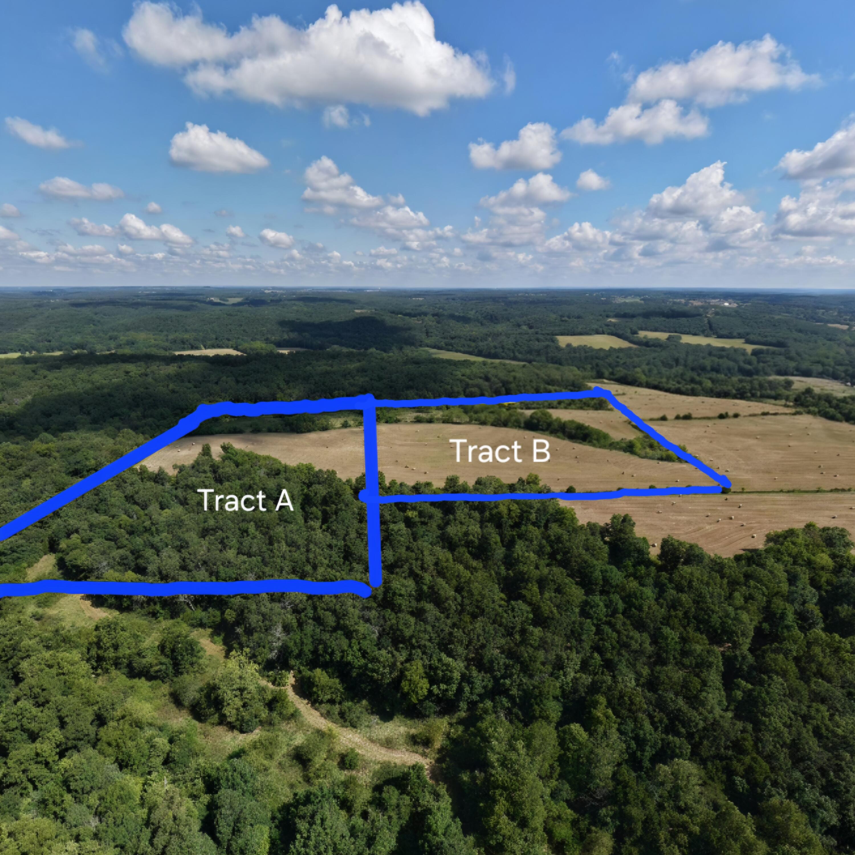 Photo 26 - Land for sale – Tract B  Freedom Road  Marshfield, MO
