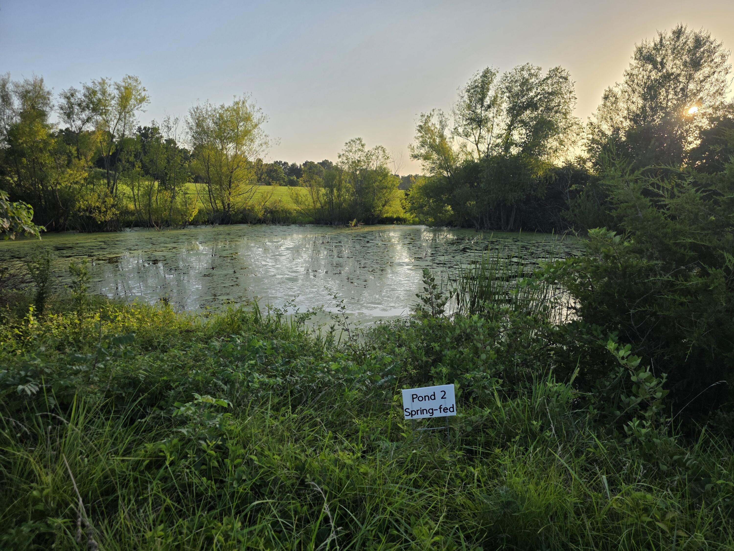 Photo 20 - Land for sale – Tract B  Freedom Road  Marshfield, MO