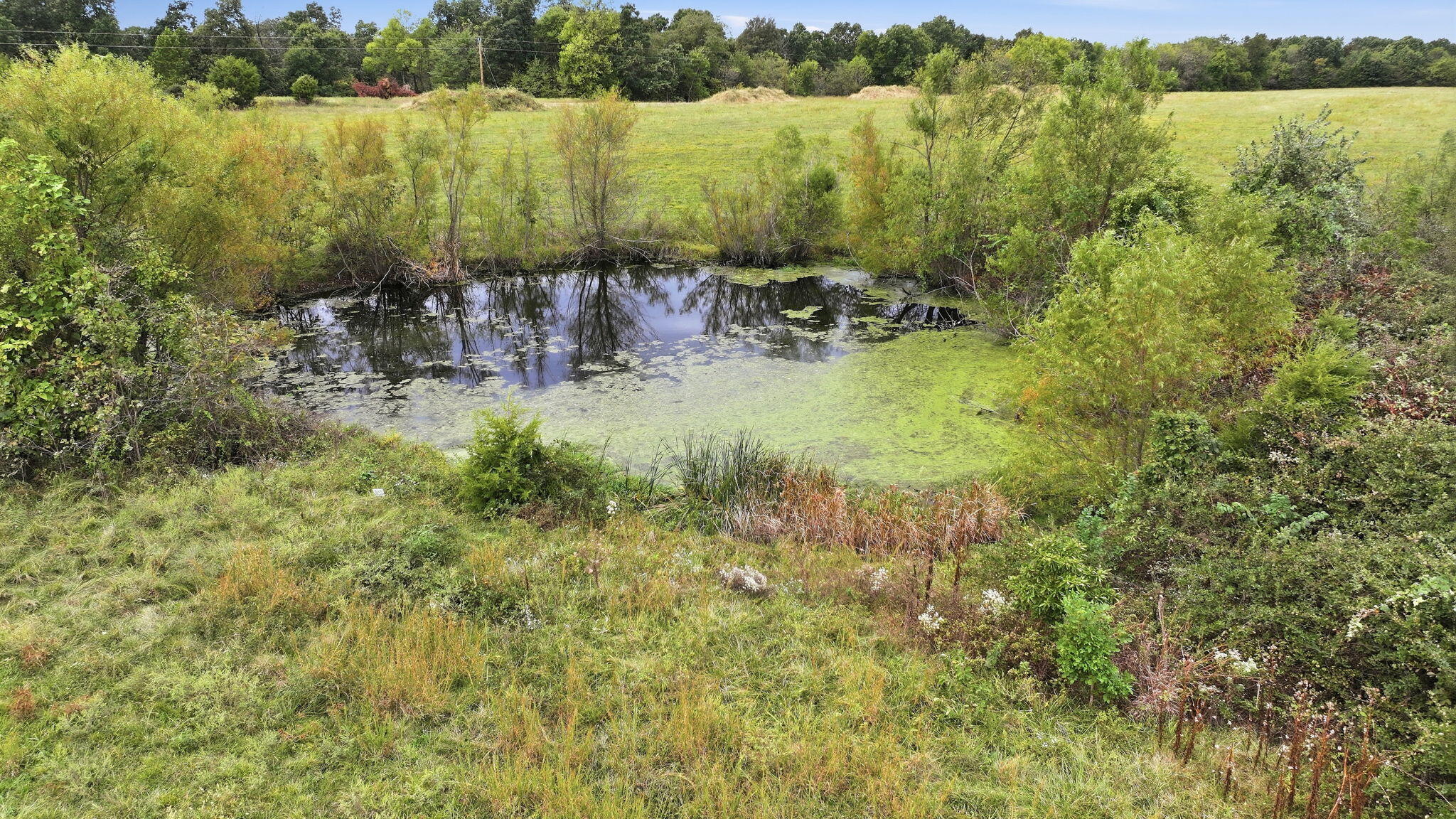 Photo 8 - Land for sale – Tract B  Freedom Road  Marshfield, MO