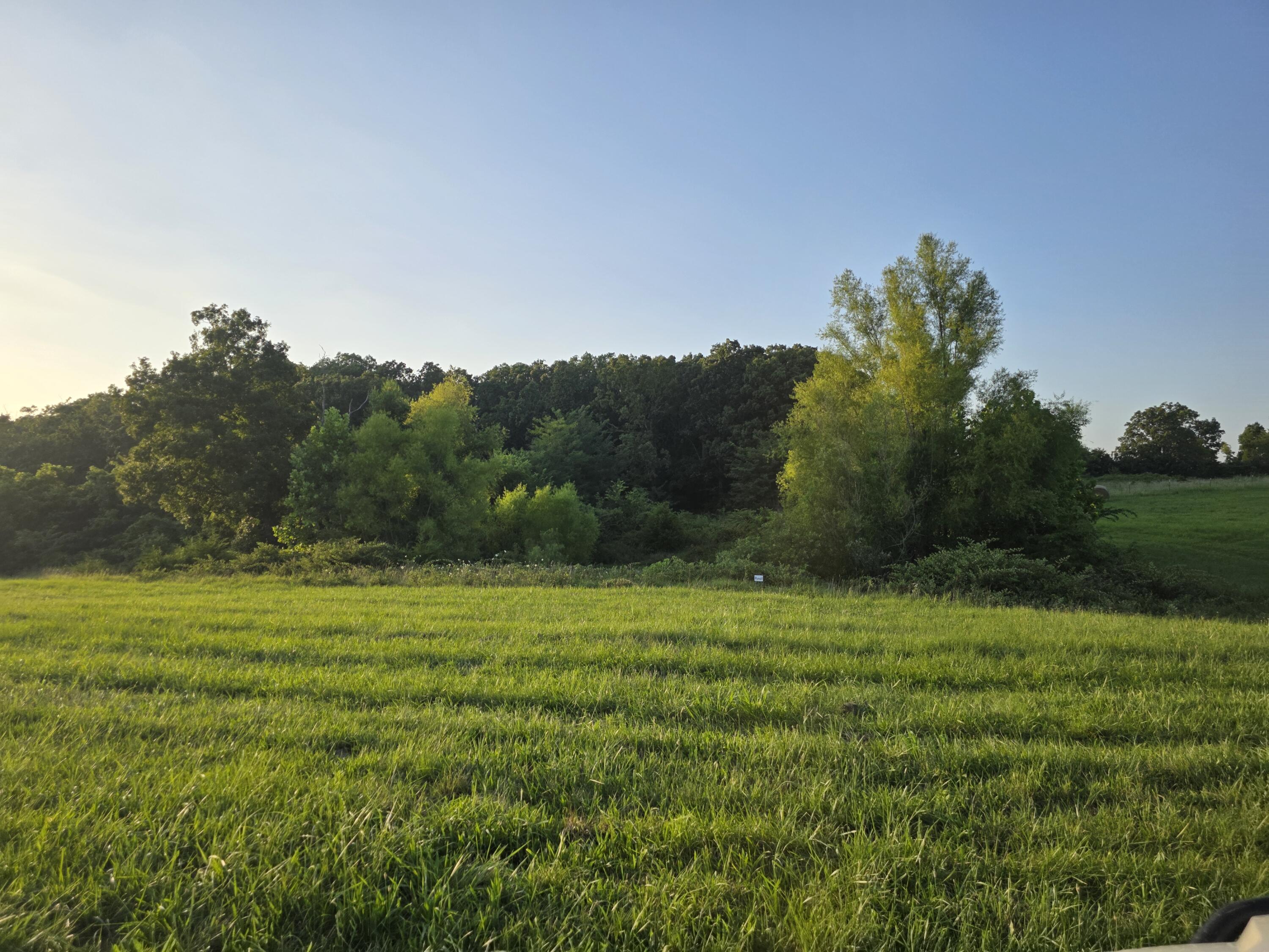 Photo 21 - Land for sale – Tract B  Freedom Road  Marshfield, MO