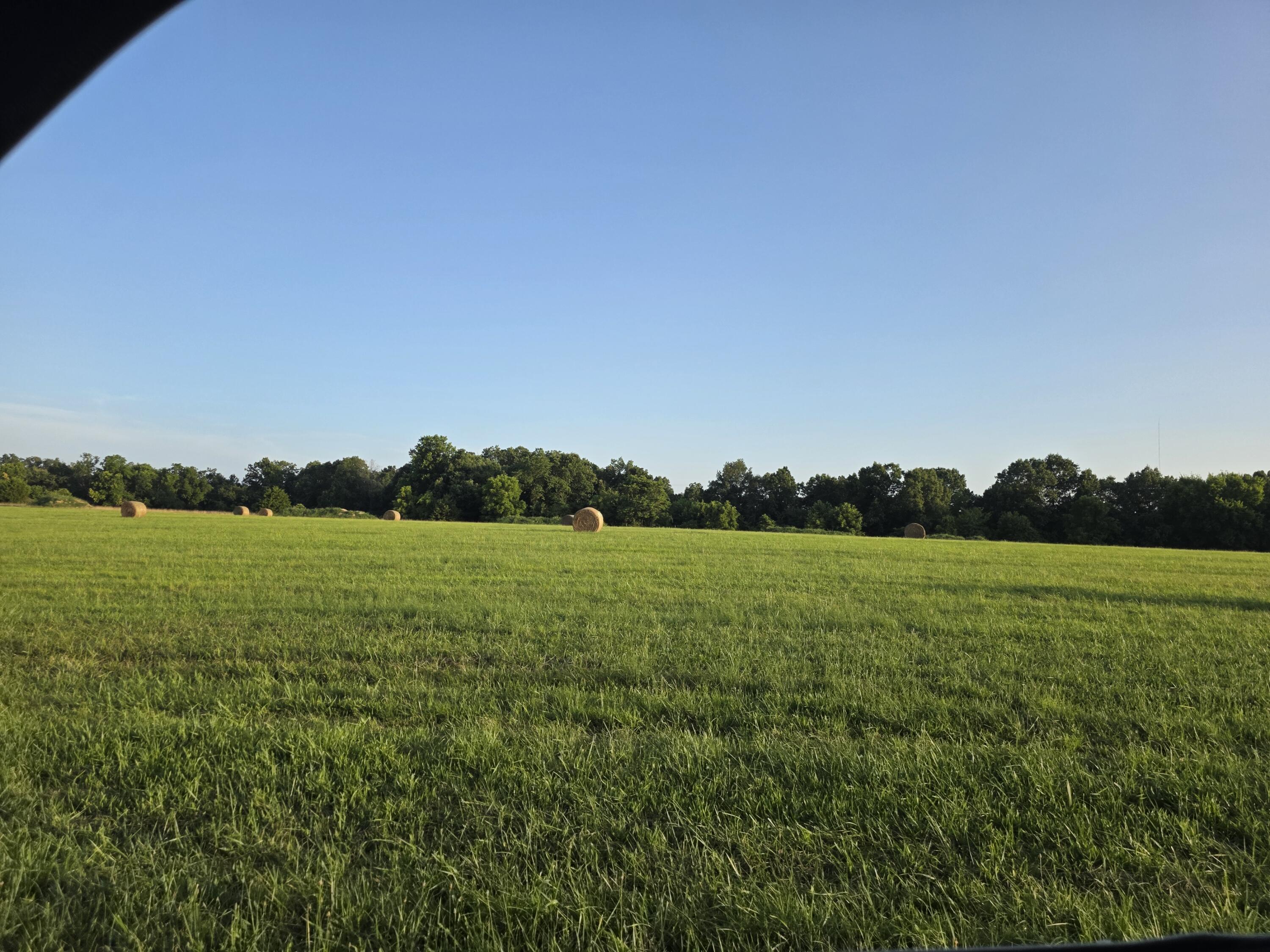 Photo 19 - Land for sale – Tract B  Freedom Road  Marshfield, MO