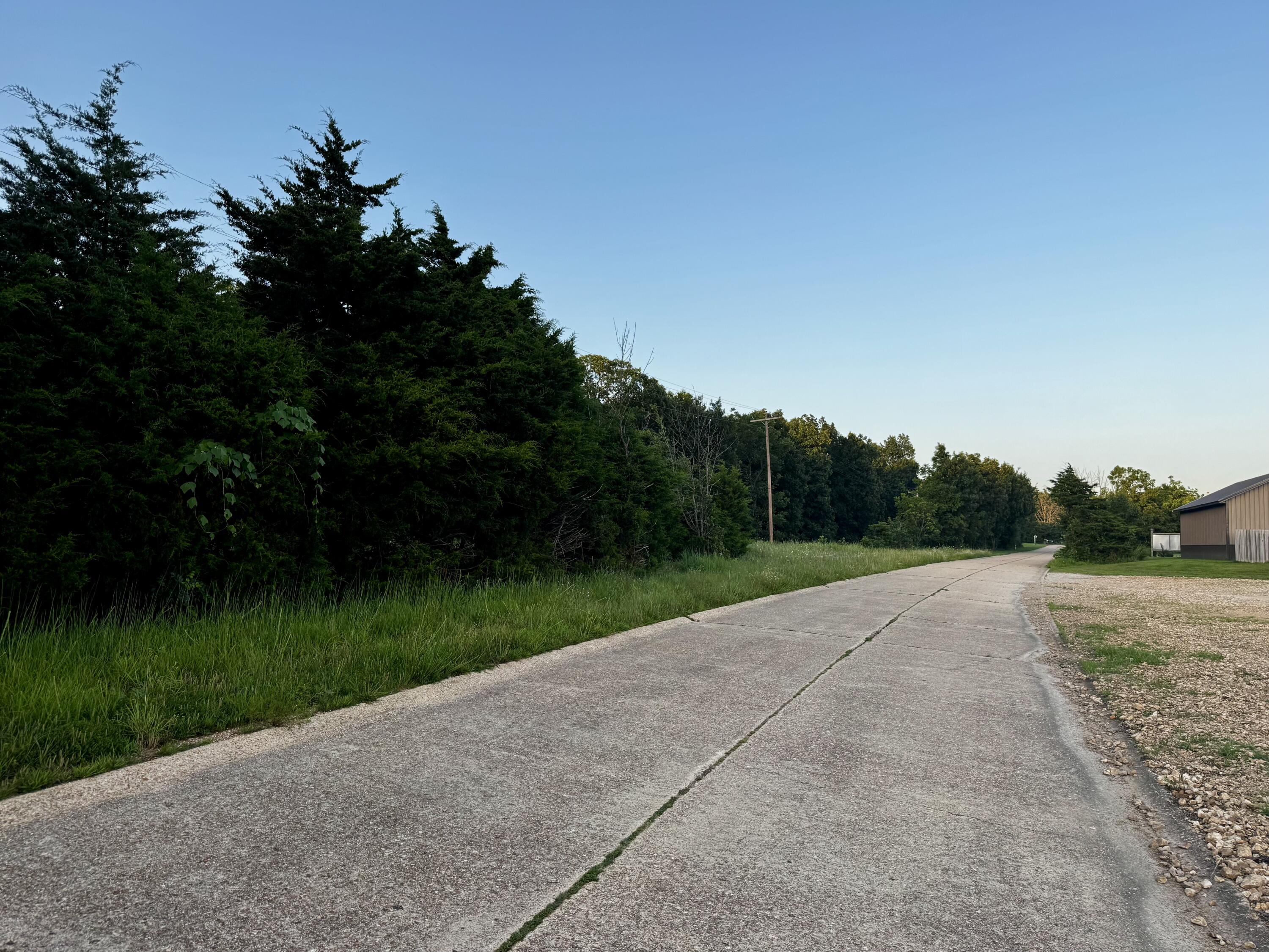 Photo 2 - Land for sale – 000  Lucky Road  Seymour, MO