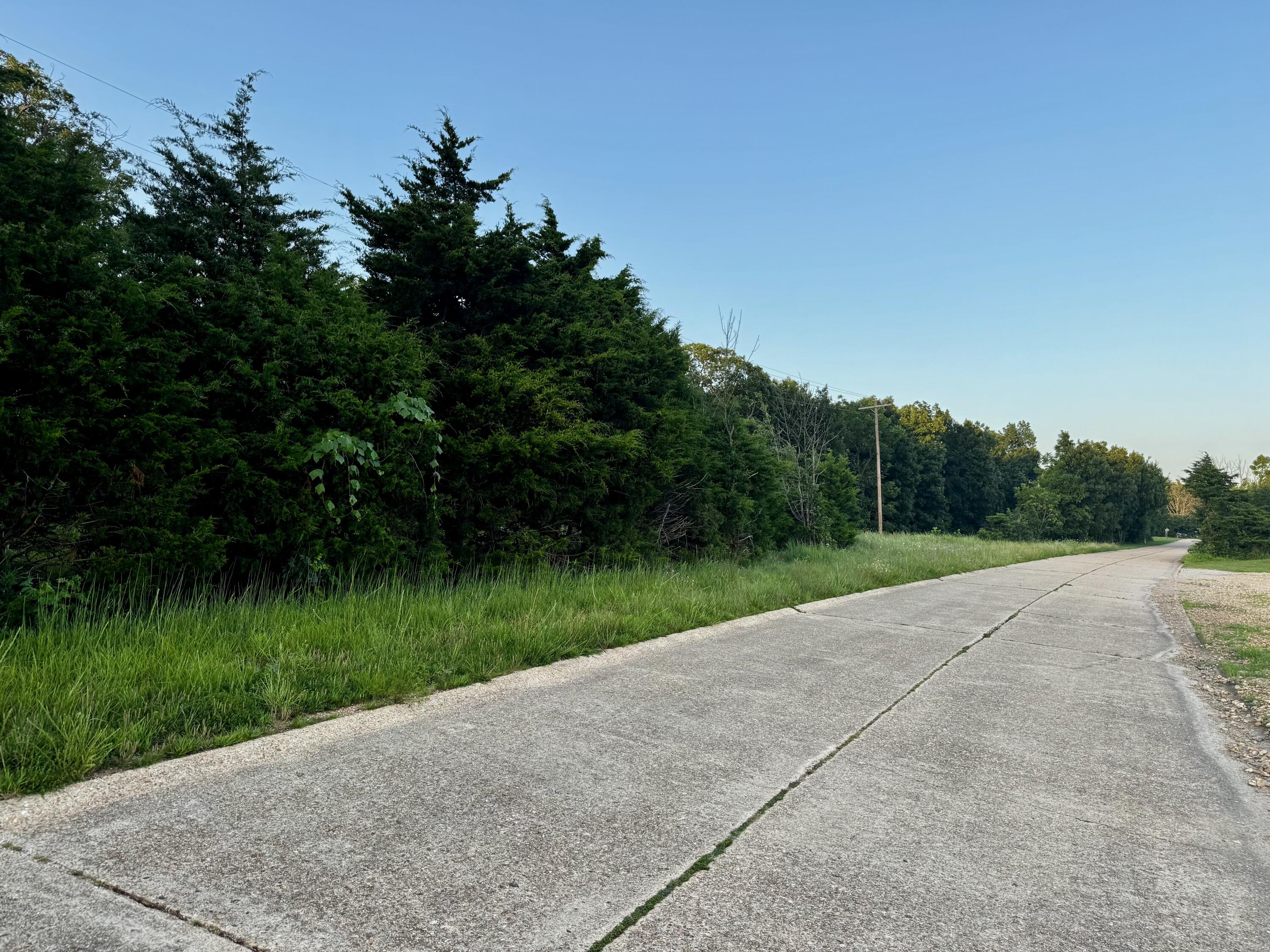 Photo 11 - Land for sale – 000  Lucky Road  Seymour, MO