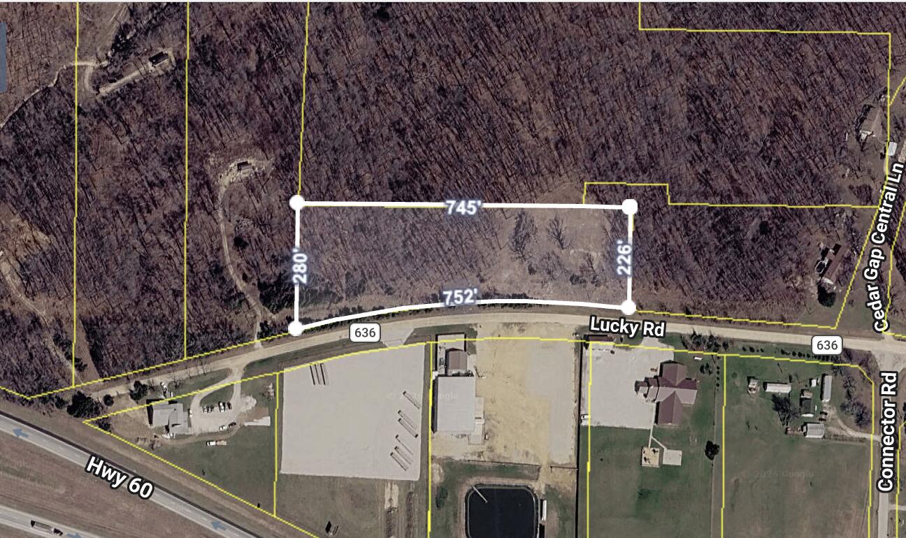 Photo 3 - Land for sale – 000  Lucky Road  Seymour, MO