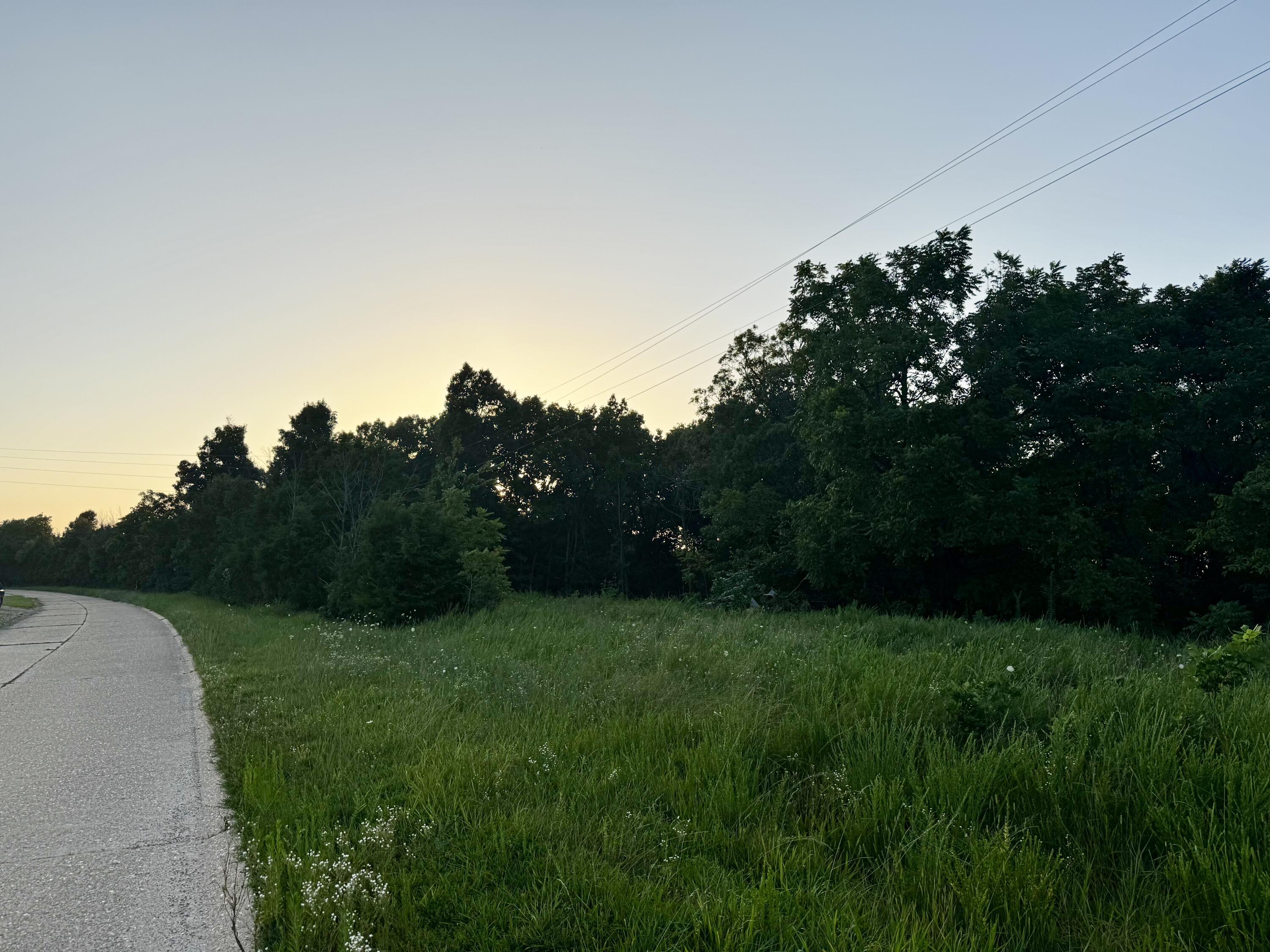 Photo 4 - Land for sale – 000  Lucky Road  Seymour, MO
