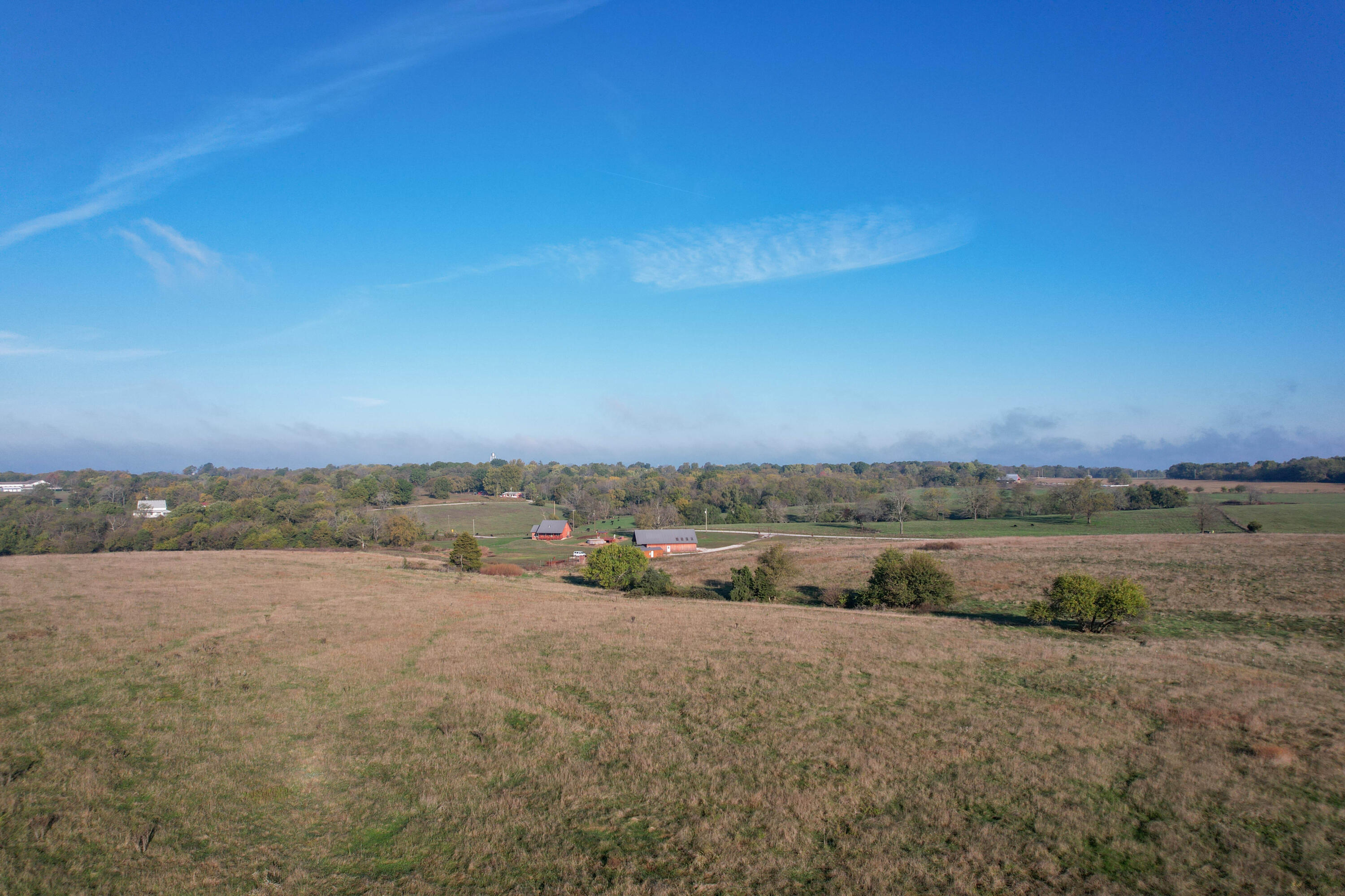Photo 4 - Land for sale – 000  Highway 123   Walnut Grove, MO