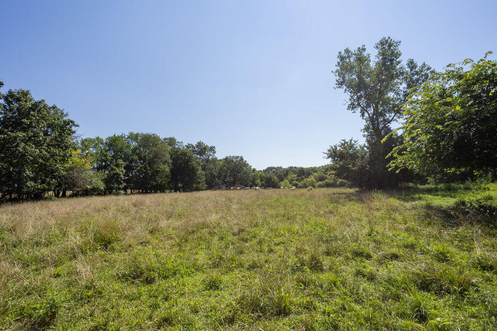 Photo 2 - Farm for sale – 525 E Hwy C   Jerico Springs, MO
