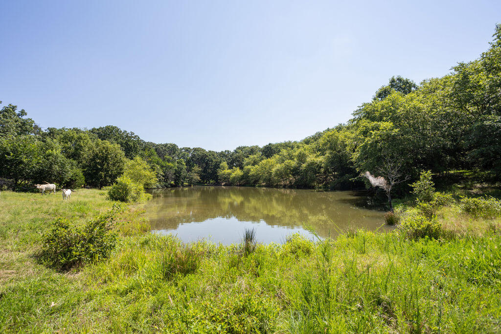 Photo 3 - Farm for sale – 525 E Hwy C   Jerico Springs, MO