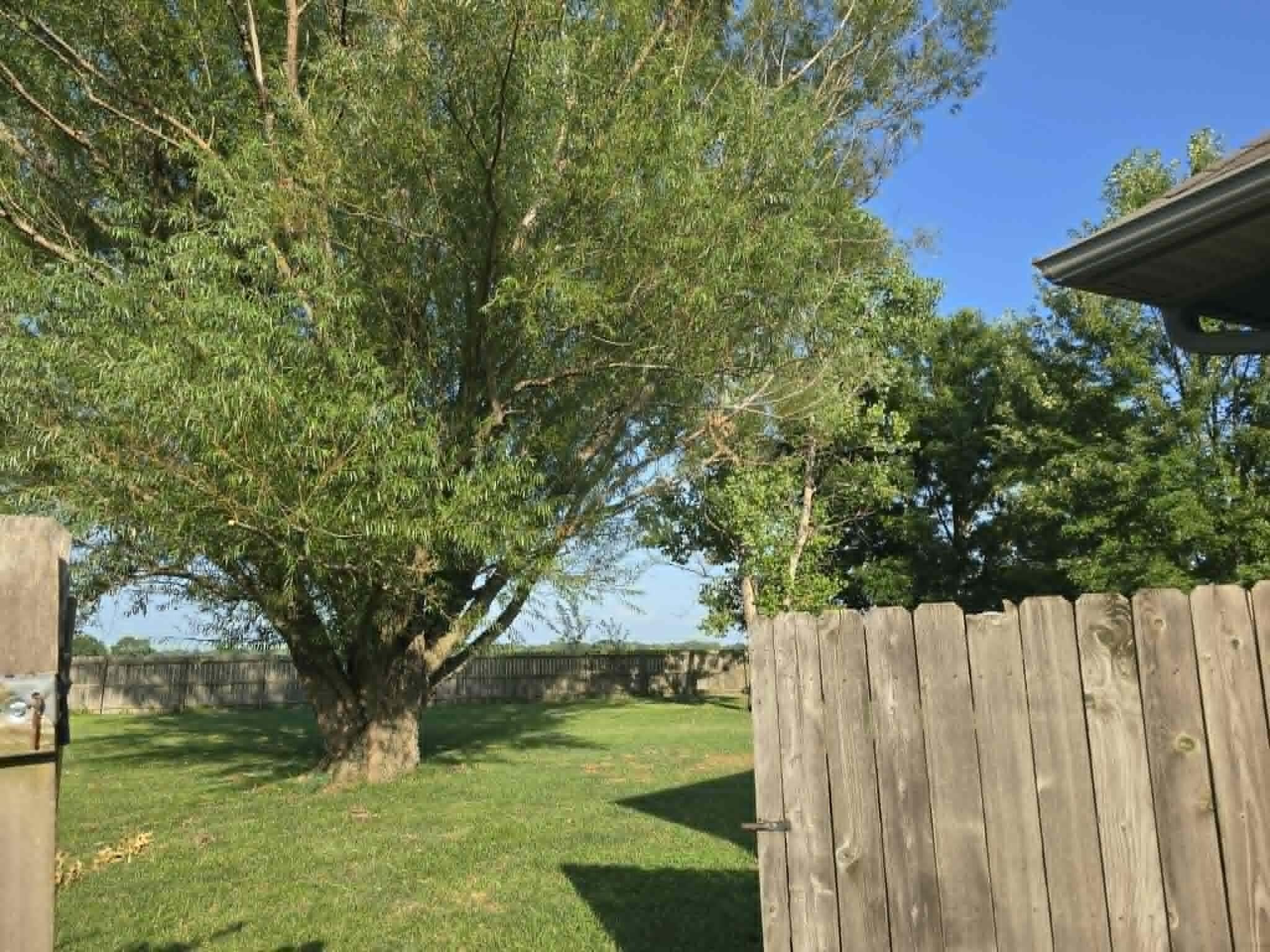 Photo 4 - Residential for sale – 2011 E Epicurean Drive  Clinton, MO