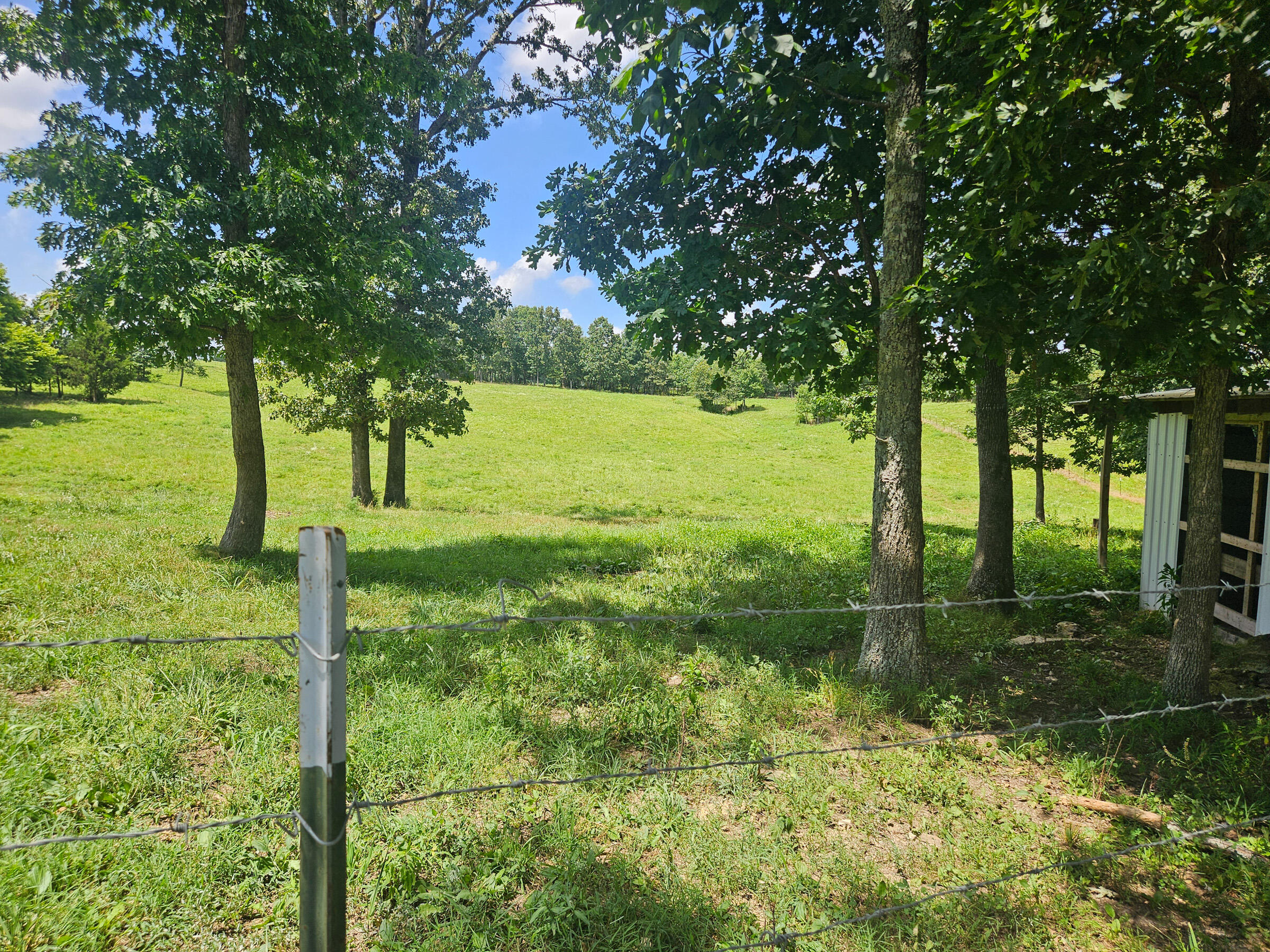 Photo 43 - Residential for sale – 4118  County Road U-659   Birch Tree, MO