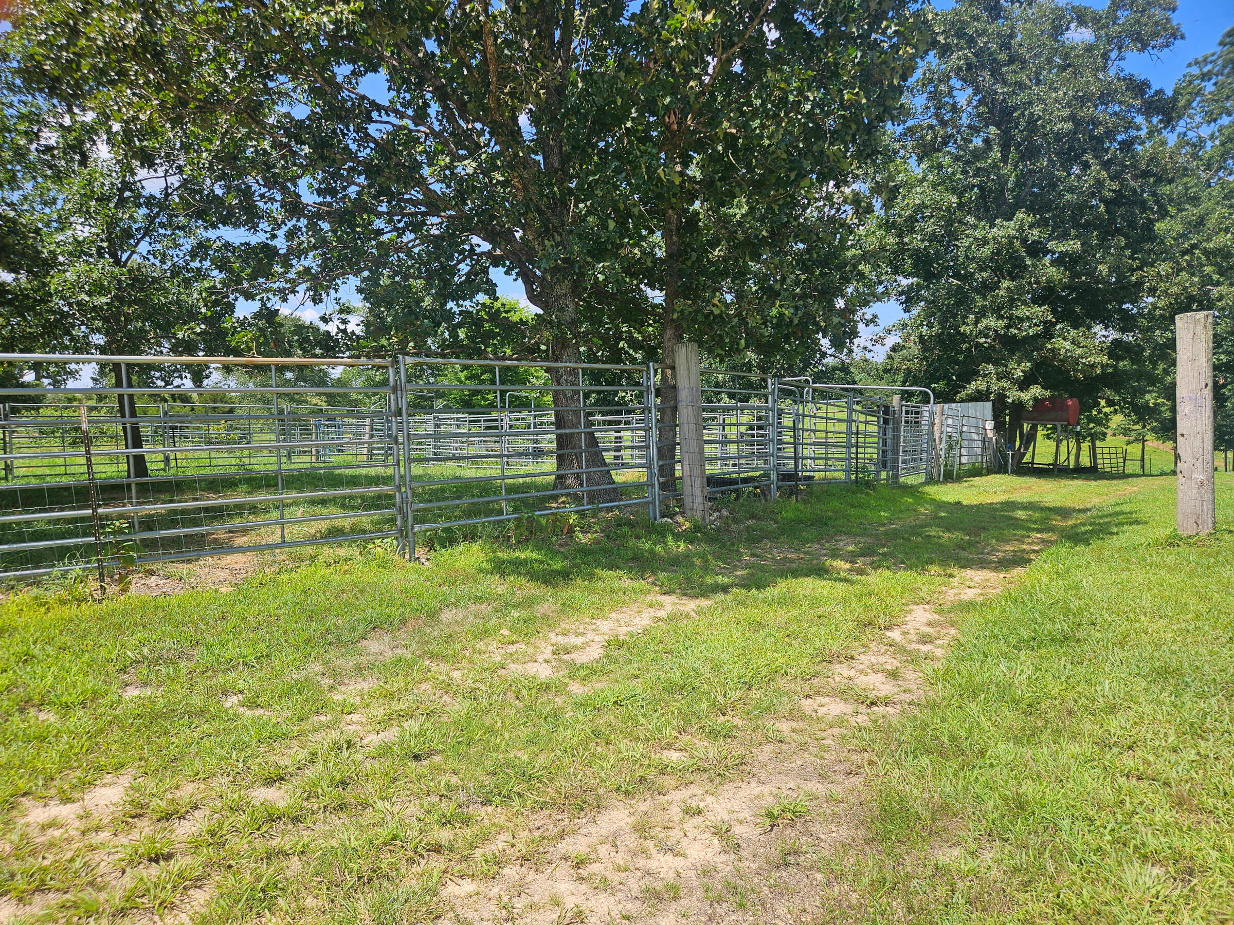 Photo 8 - Residential for sale – 4118  County Road U-659   Birch Tree, MO