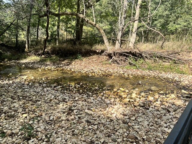 Photo 26 - Land for sale – 000  Green Hill Road  Fordland, MO