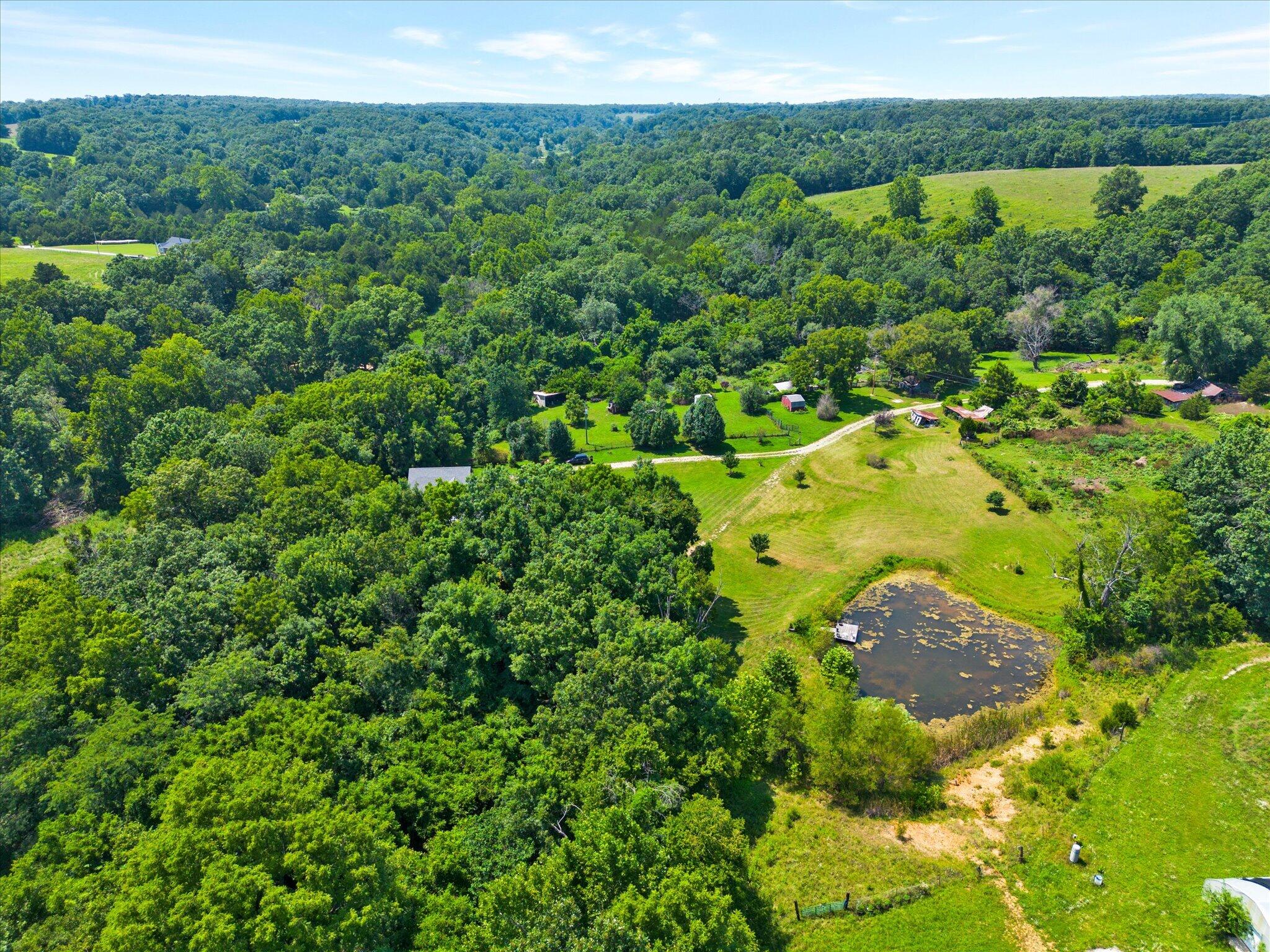 Photo 6 - Land for sale – 000  Green Hill Road  Fordland, MO