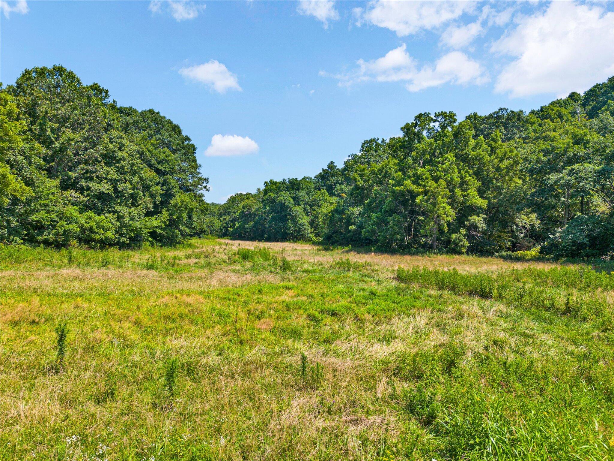 Photo 15 - Land for sale – 000  Green Hill Road  Fordland, MO