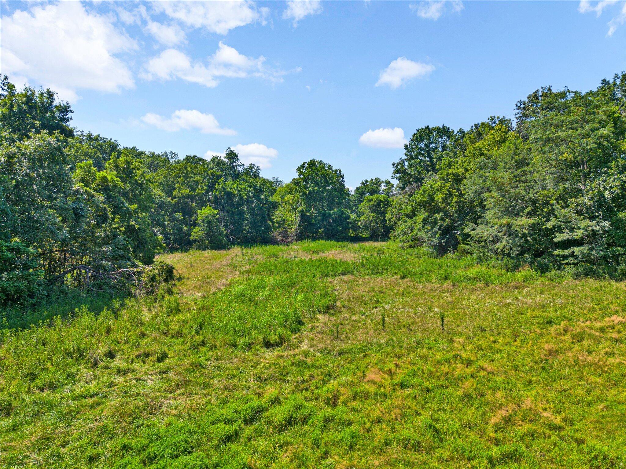 Photo 13 - Land for sale – 000  Green Hill Road  Fordland, MO