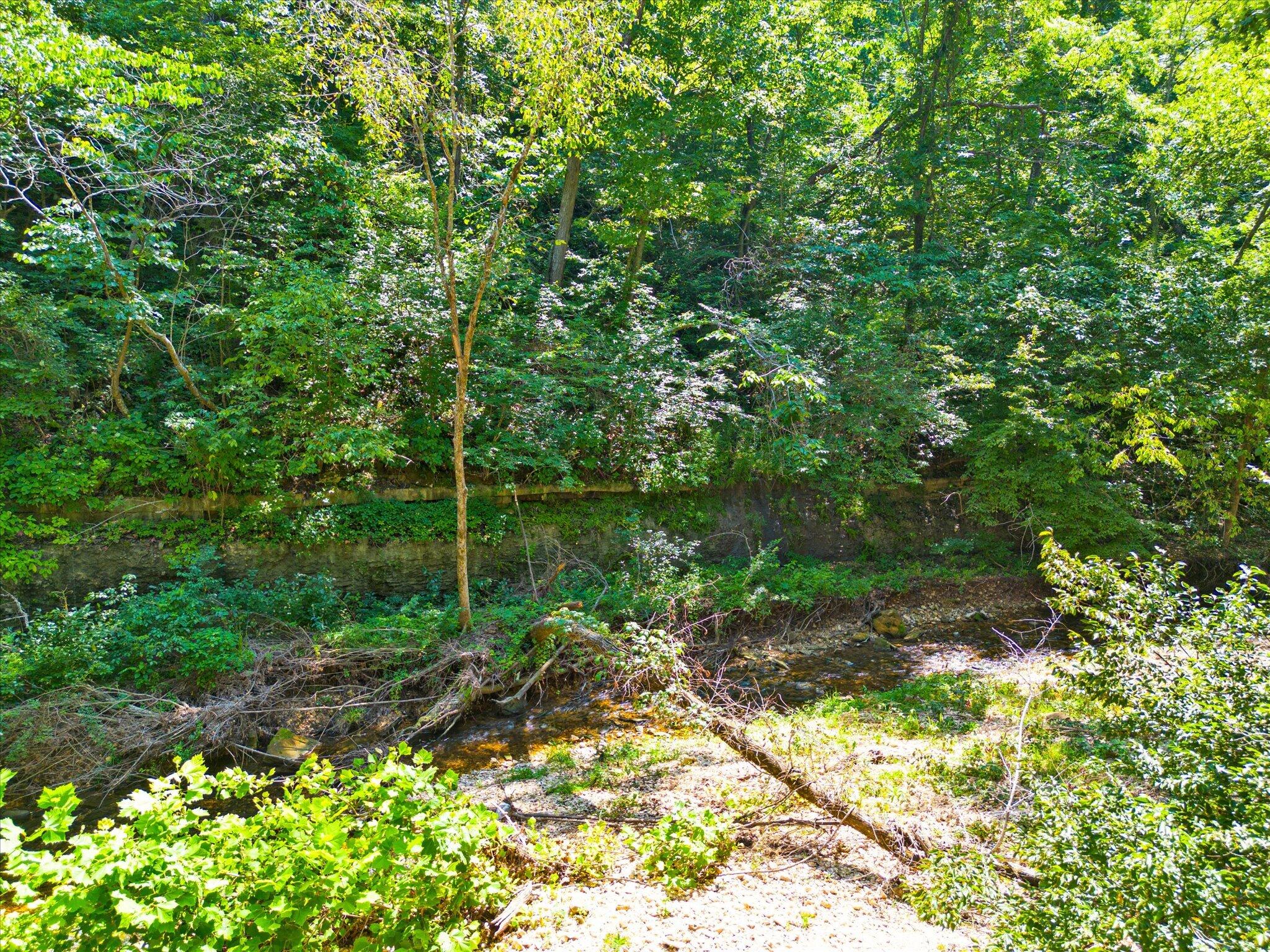 Photo 10 - Land for sale – 000  Green Hill Road  Fordland, MO