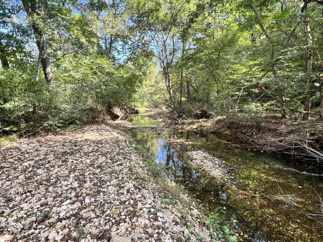 Photo 20 - Land for sale – 000  Green Hill Road  Fordland, MO