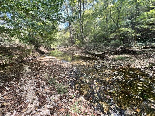 Photo 24 - Land for sale – 000  Green Hill Road  Fordland, MO