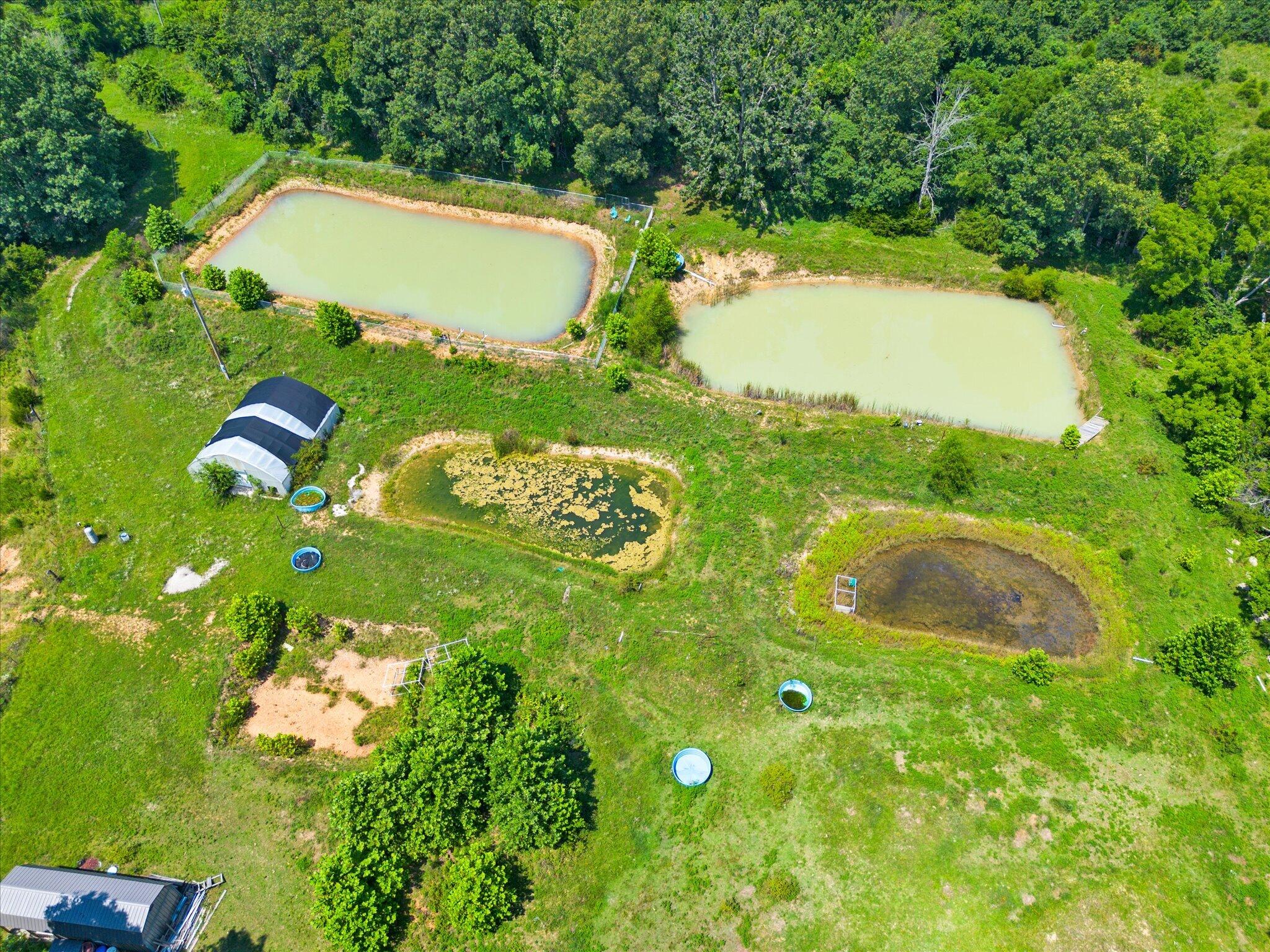 Photo 2 - Land for sale – 000  Green Hill Road  Fordland, MO
