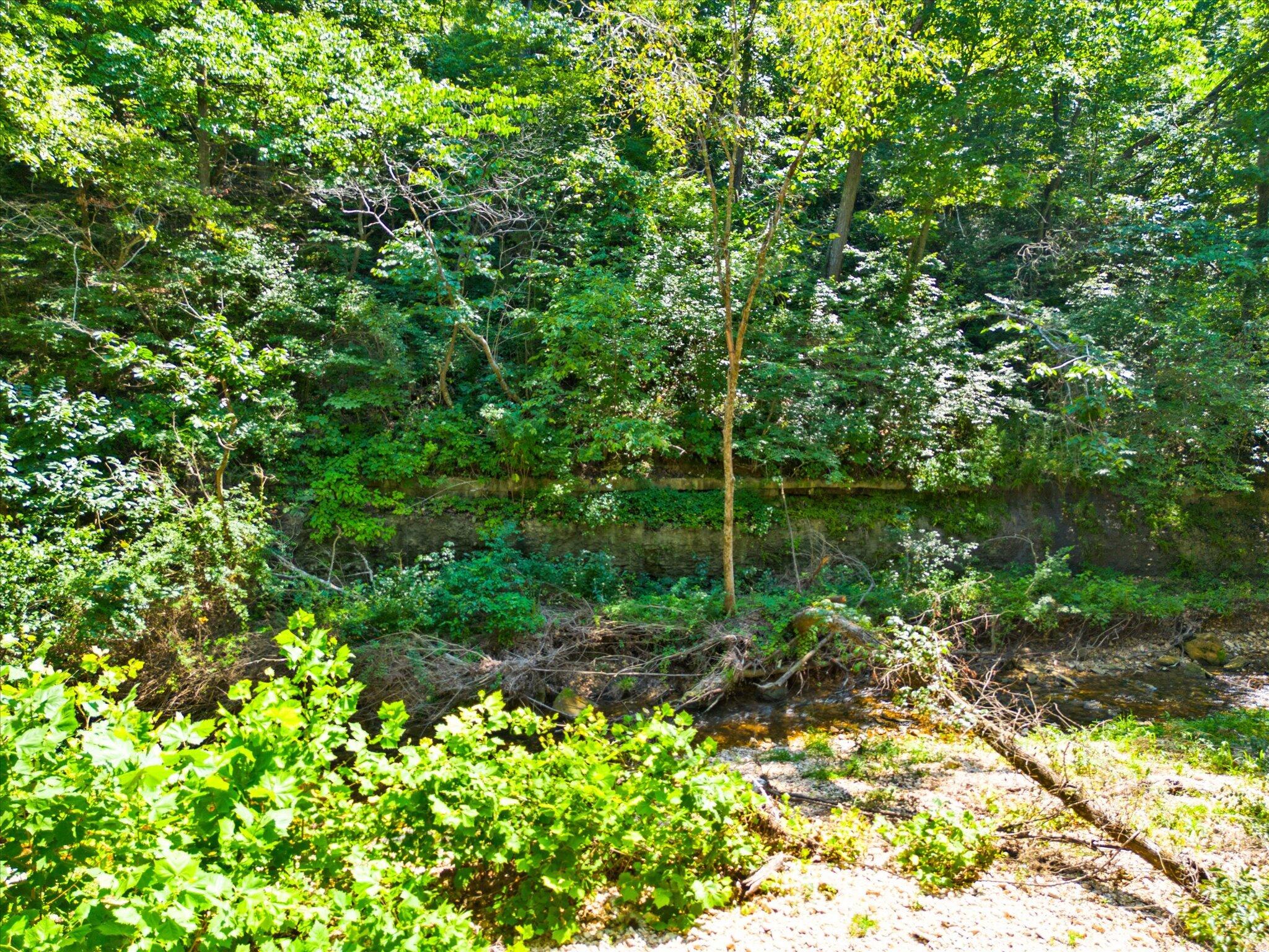 Photo 5 - Land for sale – 000  Green Hill Road  Fordland, MO