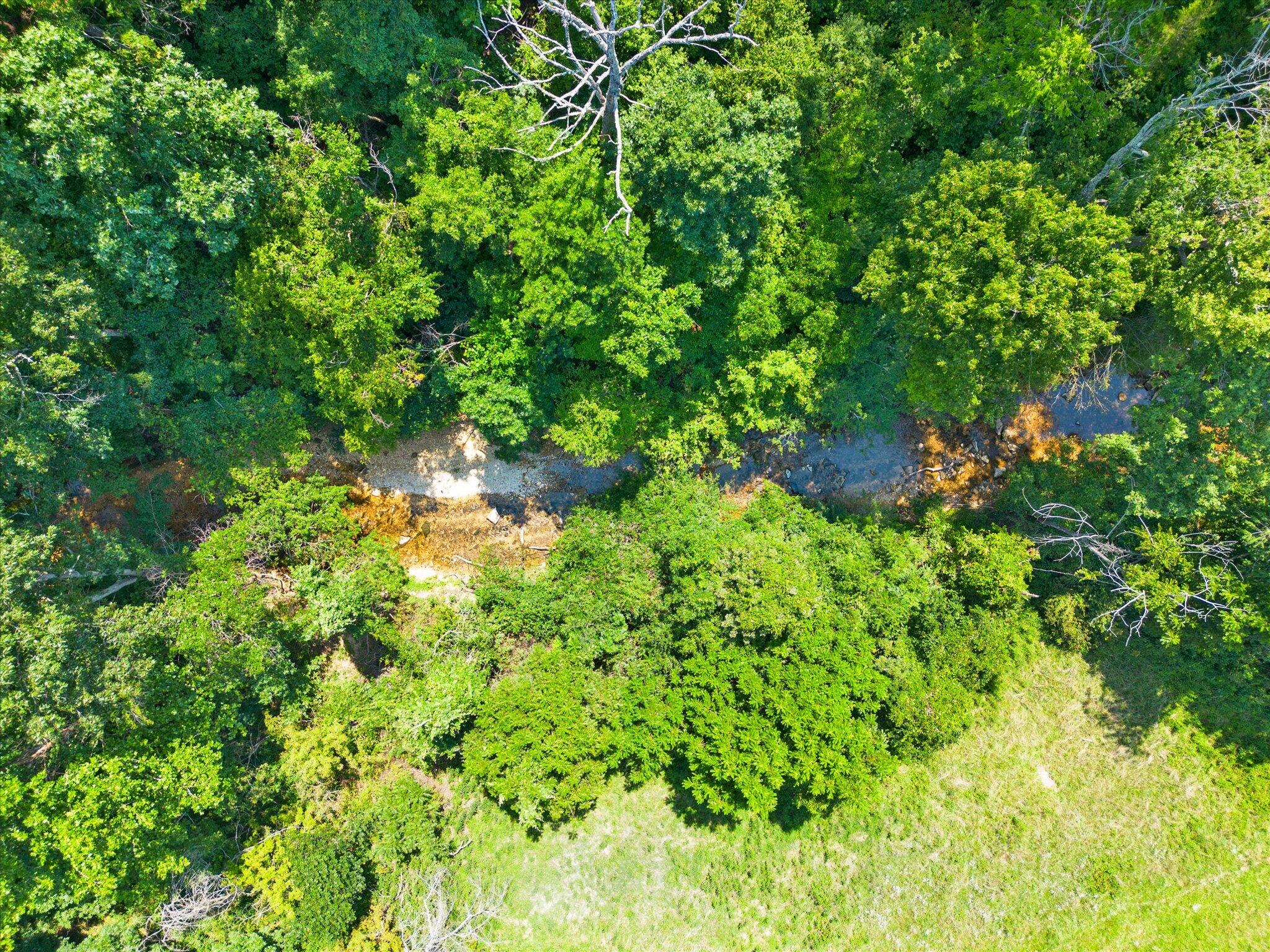 Photo 12 - Land for sale – 000  Green Hill Road  Fordland, MO