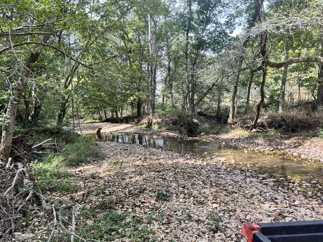 Photo 25 - Land for sale – 000  Green Hill Road  Fordland, MO
