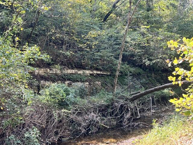 Photo 21 - Land for sale – 000  Green Hill Road  Fordland, MO