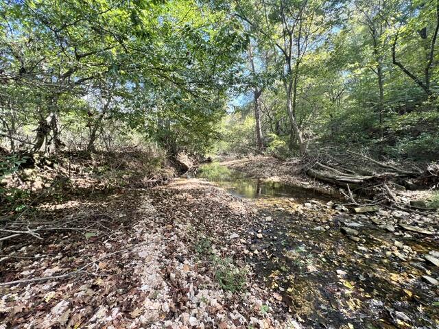 Photo 23 - Land for sale – 000  Green Hill Road  Fordland, MO