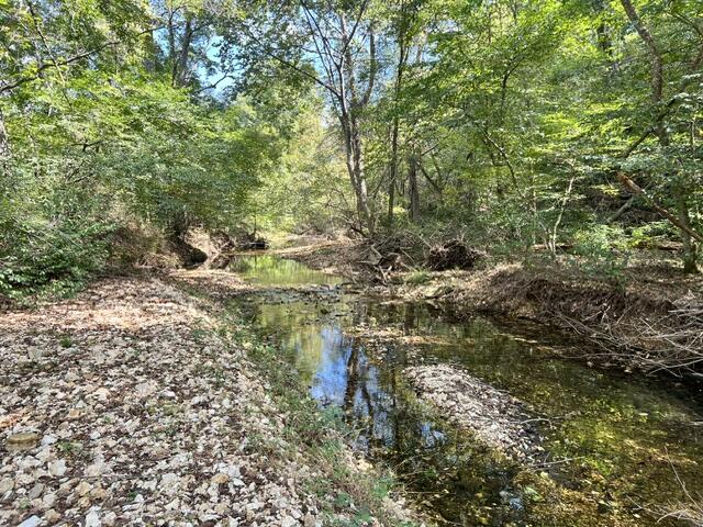 Photo 18 - Land for sale – 000  Green Hill Road  Fordland, MO