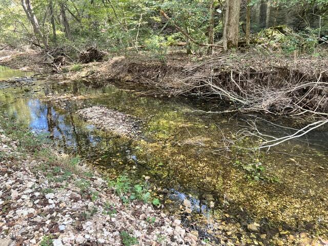 Photo 17 - Land for sale – 000  Green Hill Road  Fordland, MO