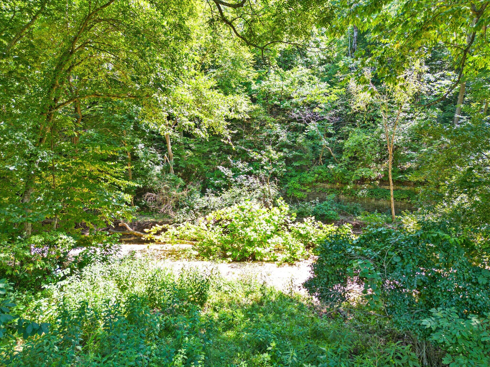 Photo 3 - Land for sale – 000  Green Hill Road  Fordland, MO