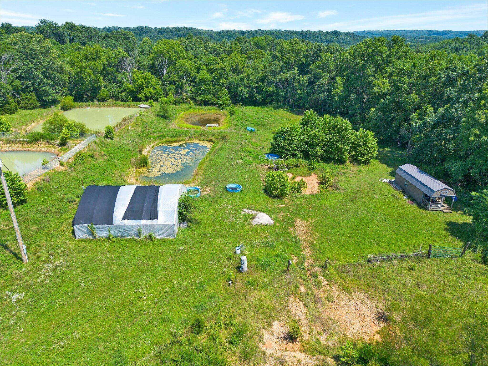 Photo 8 - Land for sale – 000  Green Hill Road  Fordland, MO