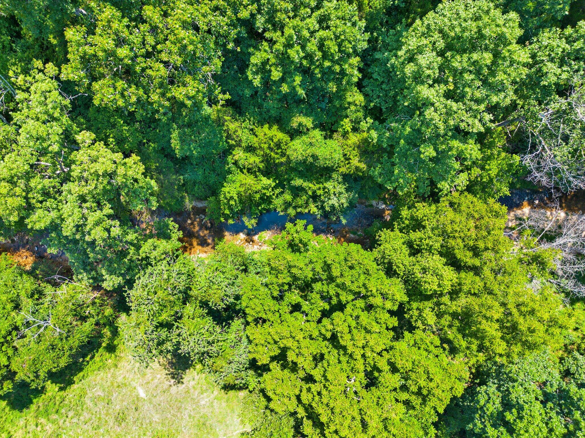 Photo 9 - Land for sale – 000  Green Hill Road  Fordland, MO