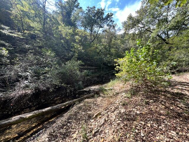 Photo 22 - Land for sale – 000  Green Hill Road  Fordland, MO