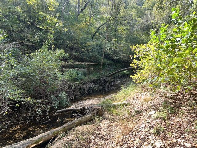 Photo 16 - Land for sale – 000  Green Hill Road  Fordland, MO