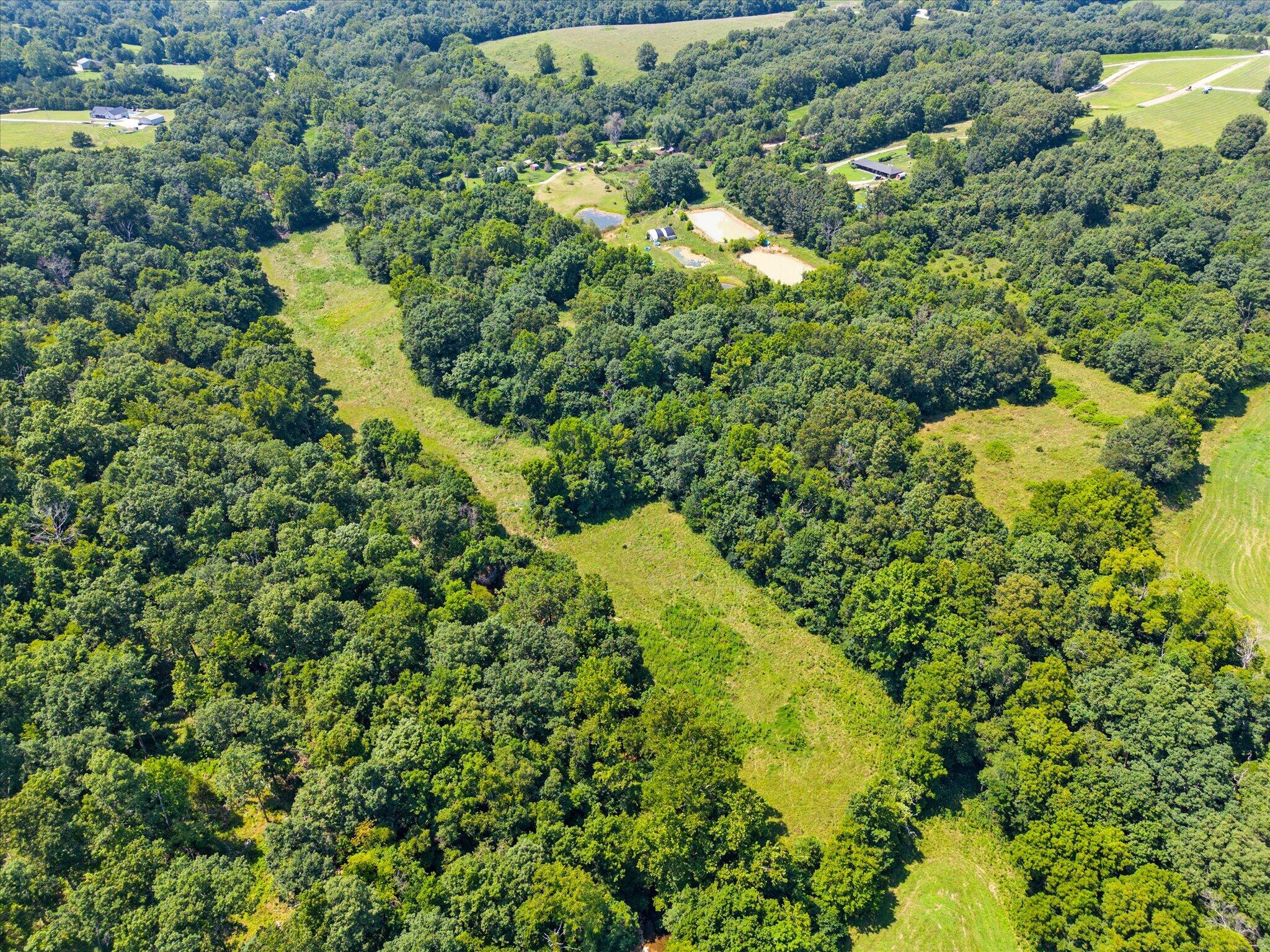 Photo 4 - Land for sale – 000  Green Hill Road  Fordland, MO