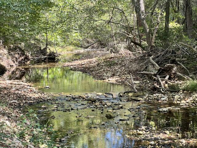 Photo 19 - Land for sale – 000  Green Hill Road  Fordland, MO