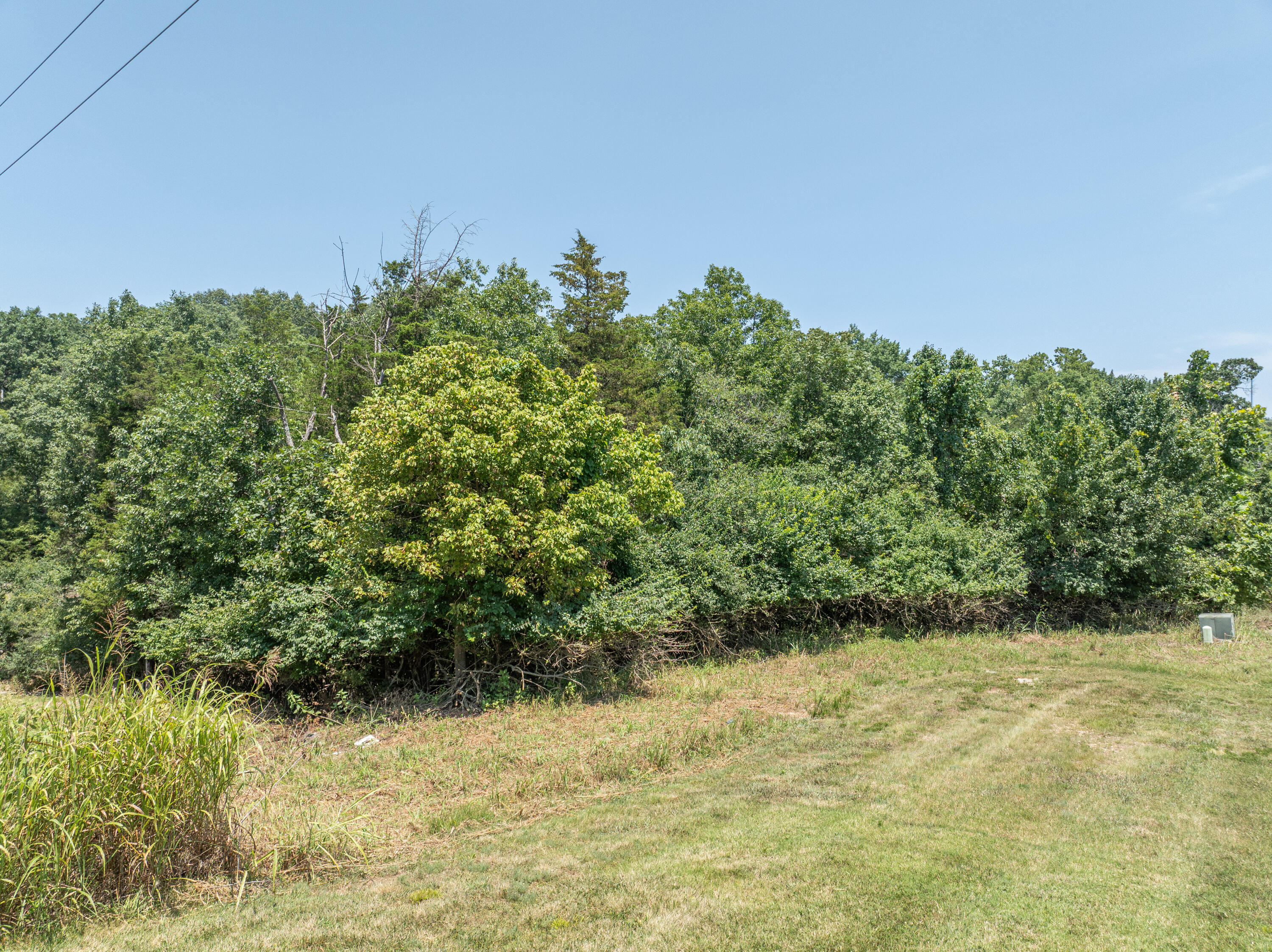 Photo 4 - Land for sale – 5423 S Ridge Top Avenue  Springfield, MO