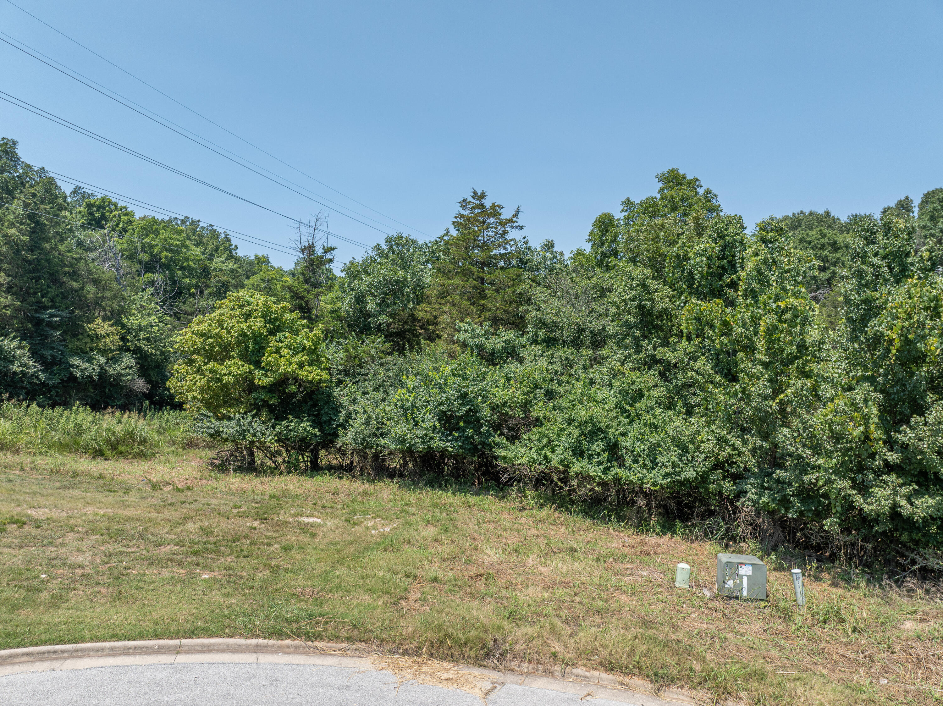 Photo 11 - Land for sale – 5423 S Ridge Top Avenue  Springfield, MO