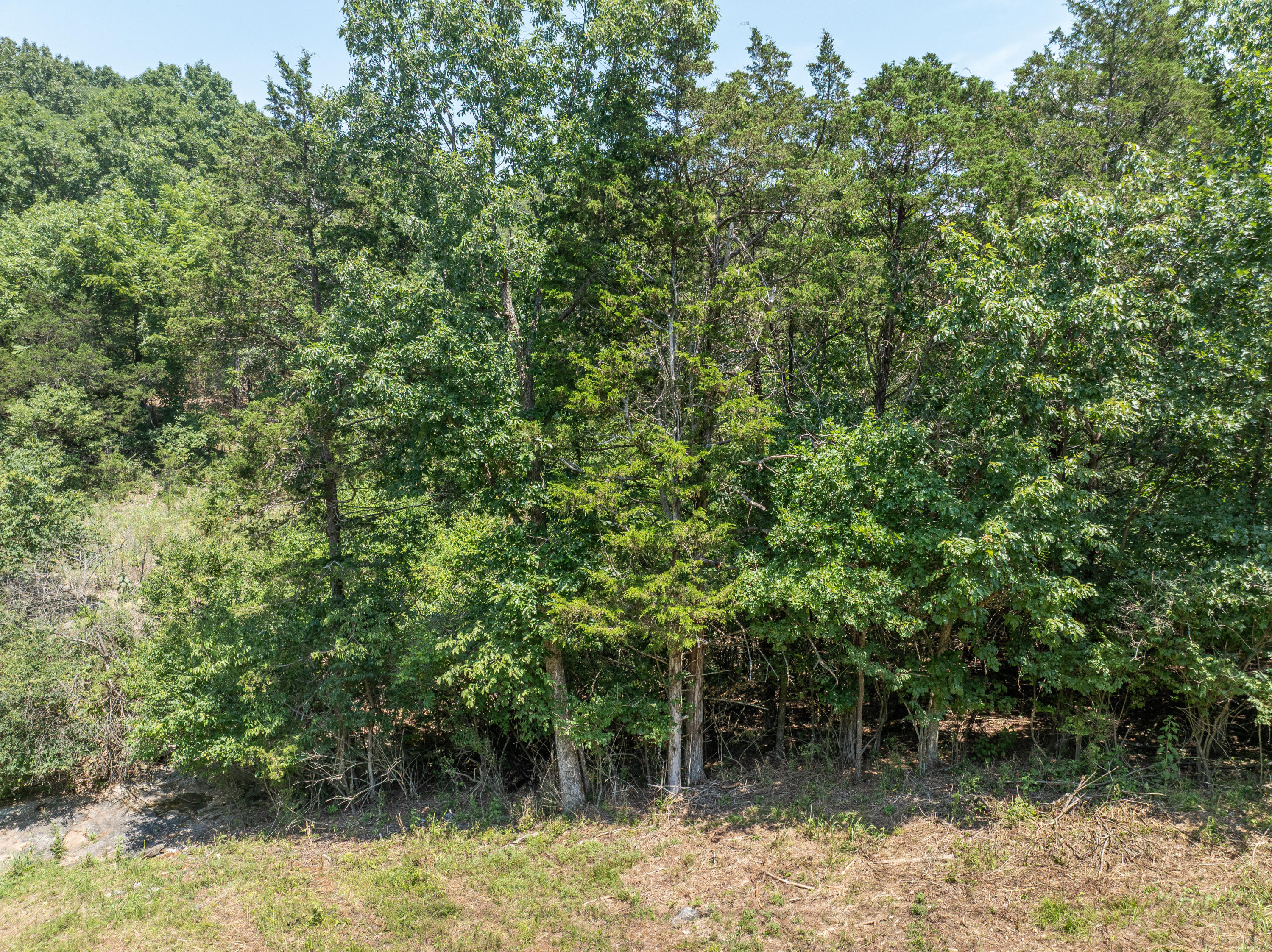 Photo 9 - Land for sale – 5423 S Ridge Top Avenue  Springfield, MO