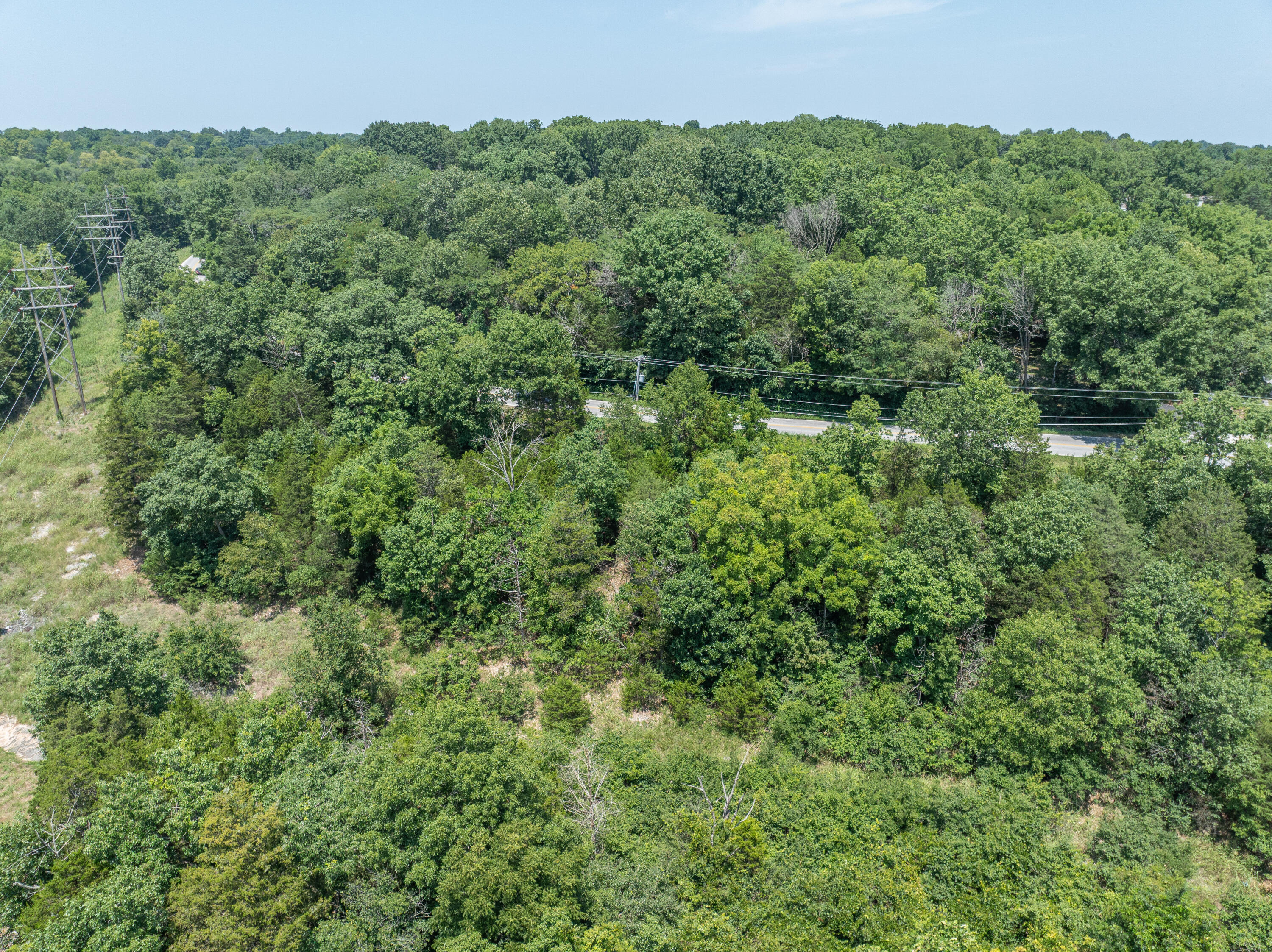 Photo 12 - Land for sale – 5423 S Ridge Top Avenue  Springfield, MO
