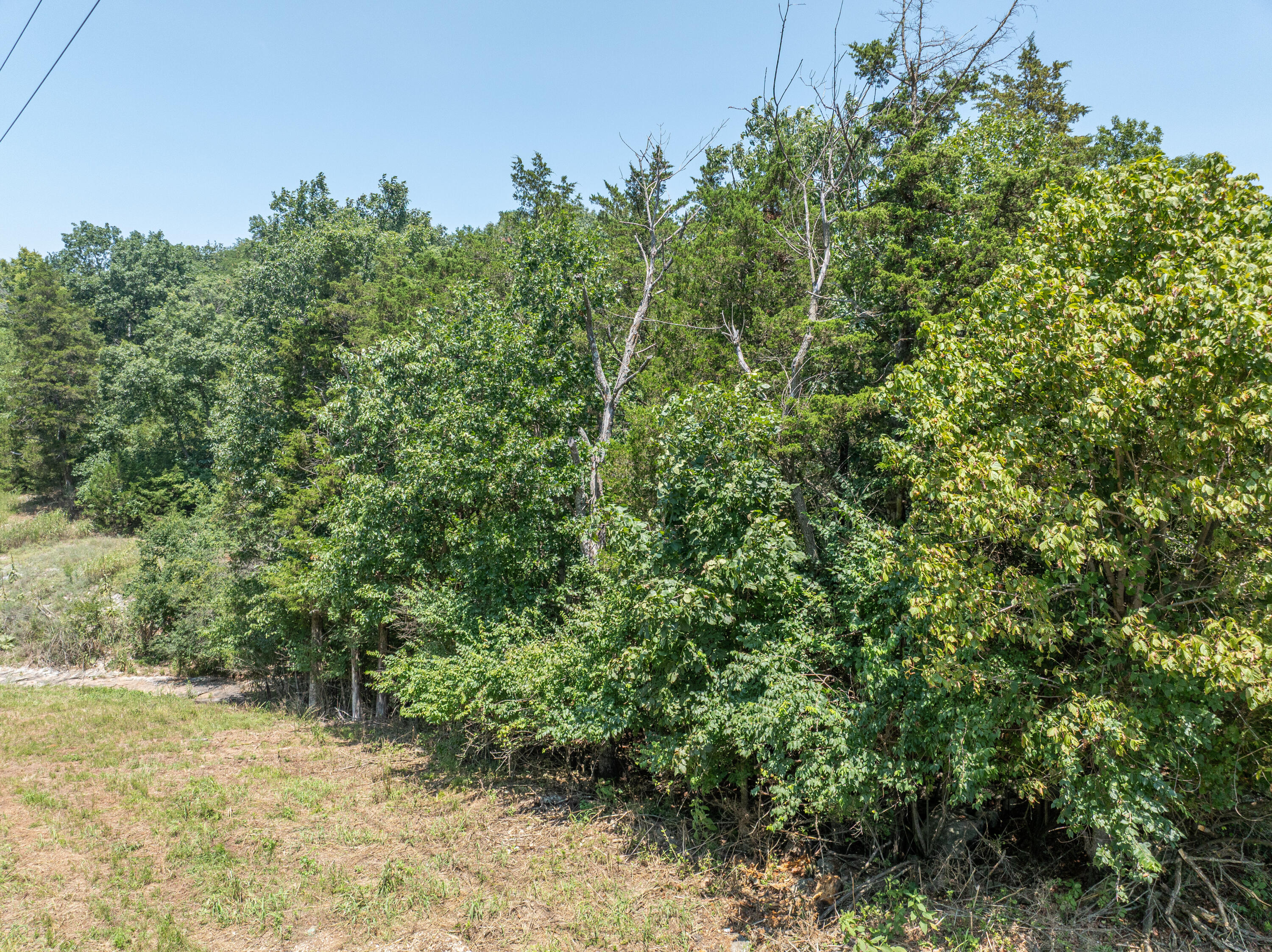 Photo 8 - Land for sale – 5423 S Ridge Top Avenue  Springfield, MO